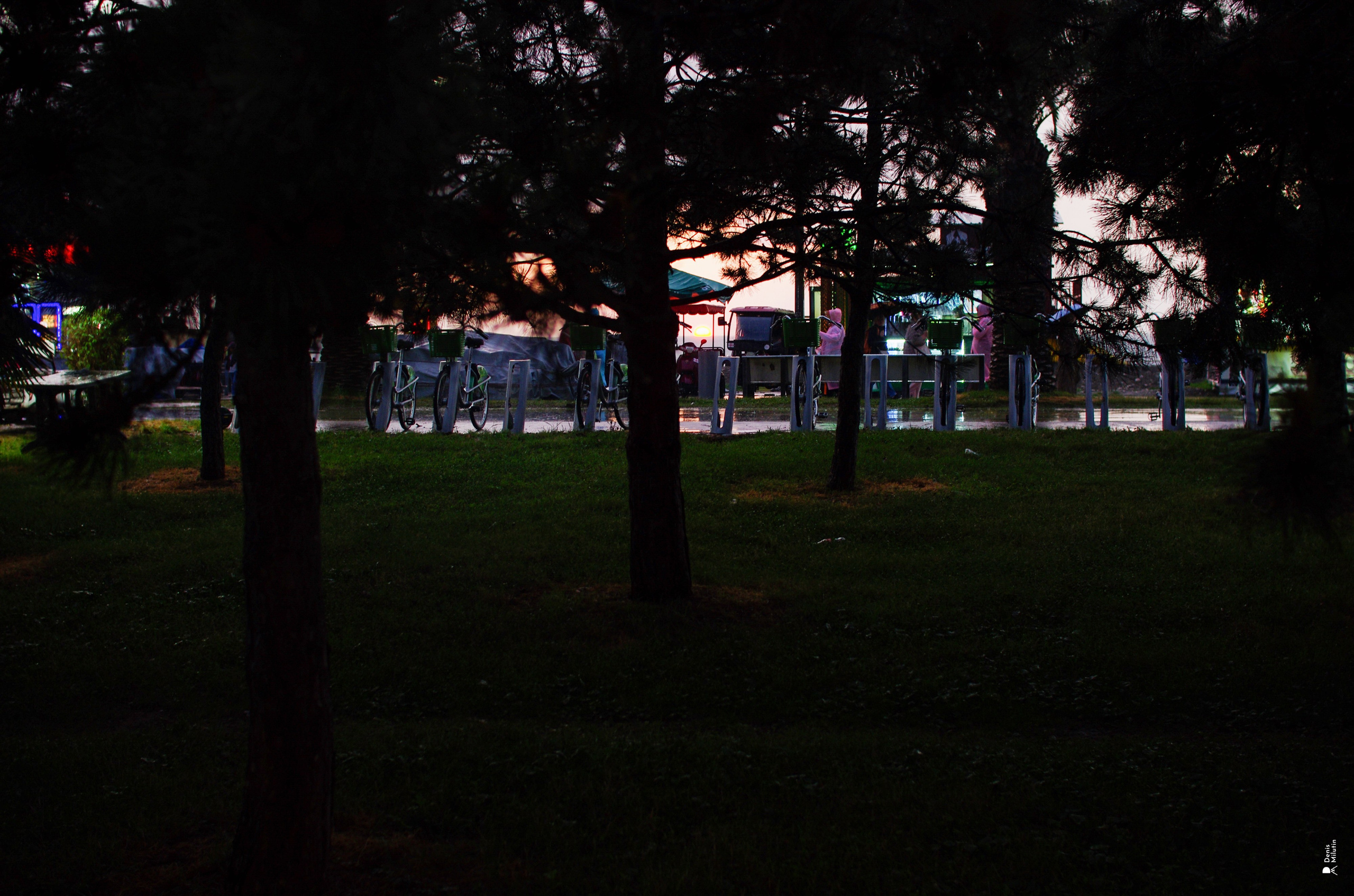 В отпуске с Артёмом. Портретный фотограф Денис Милютин