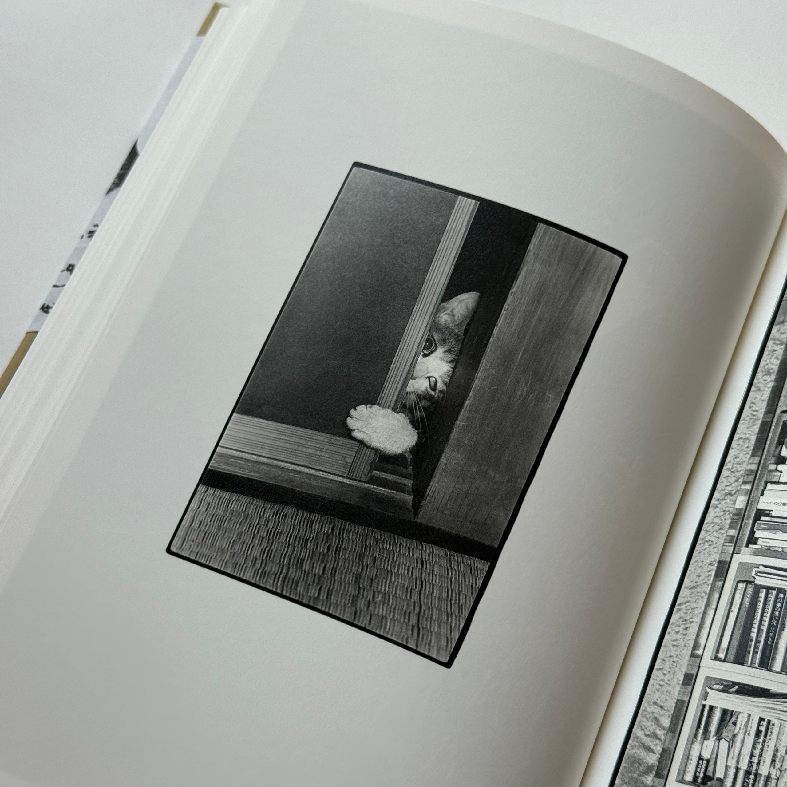 Фотокнижная библиотека Инны Шиловской. Фотограф и исследователь фотографии из Санкт-Петербурга Елизавета Веприцкая