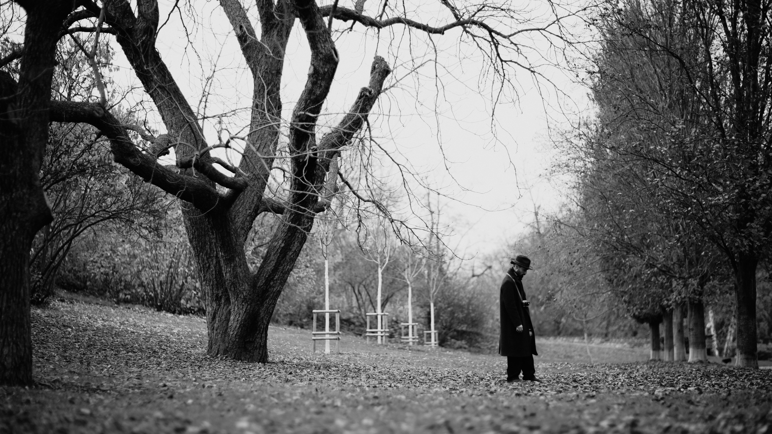 Hamdam. Photographer in Prague Alexander Pivovarov