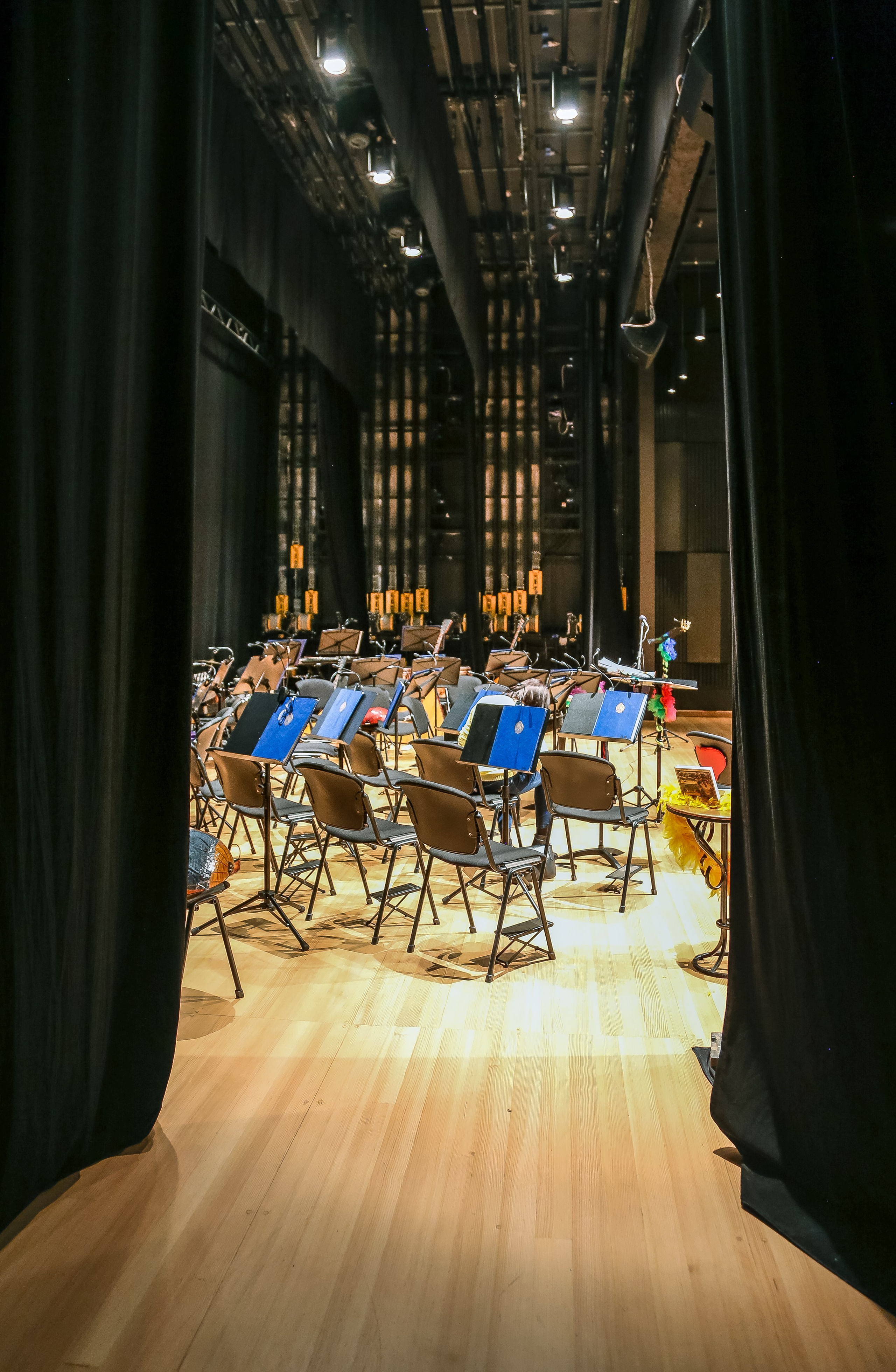 «Алиса в стране чудес» в Филармонии-2. Дарья Письменюк / Darya Leitstern — фотограф, музыкант, журналист, путешественник