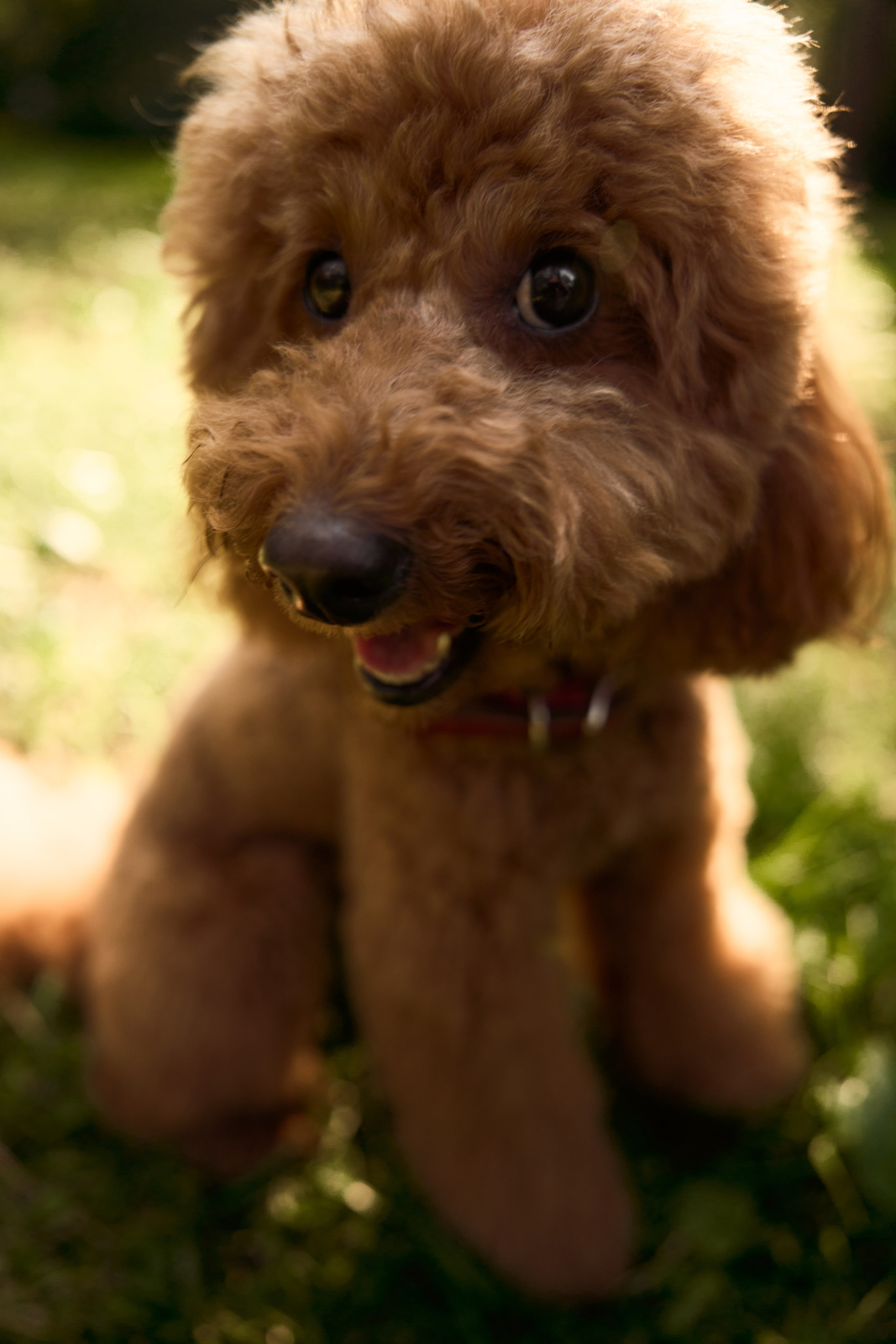 1+1=5. Фотограф Москва и Екатеринбург. Максимова Соня