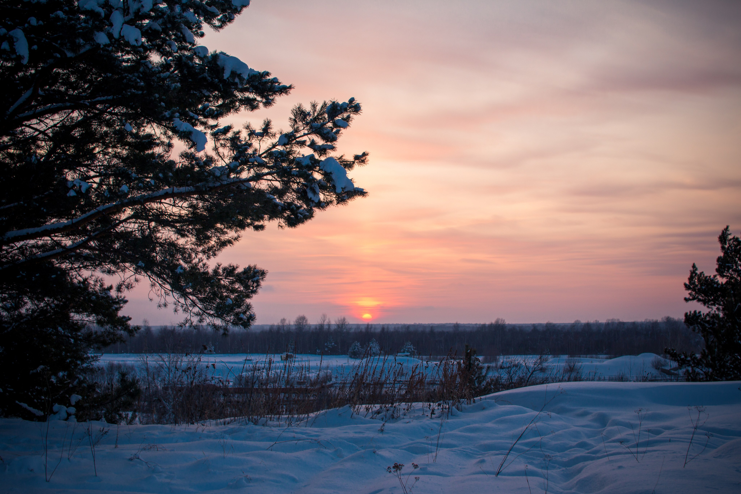Дети — цветы жизни!. Ваш фотограф Северск | Томск