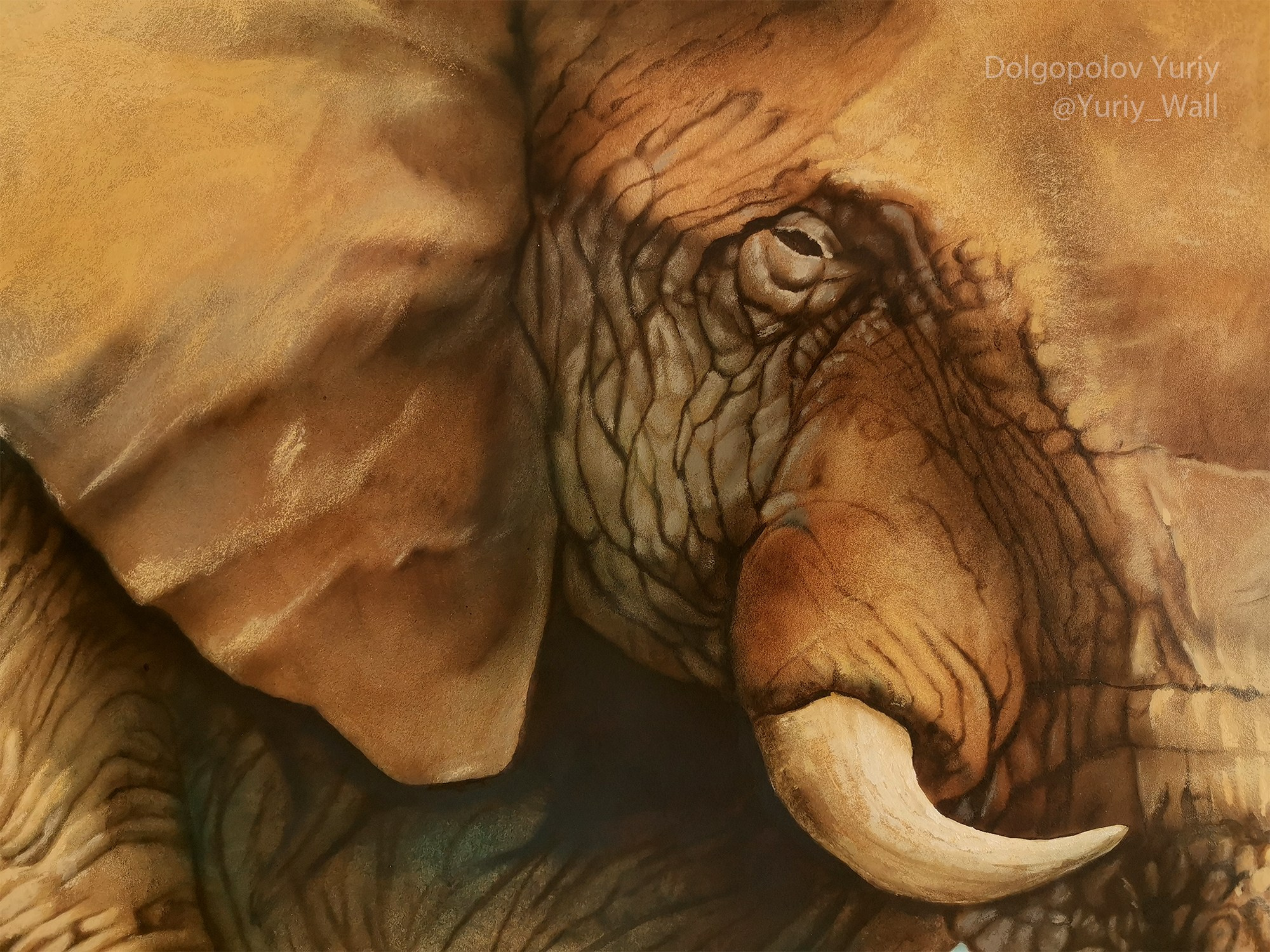 Слон роспись на стене