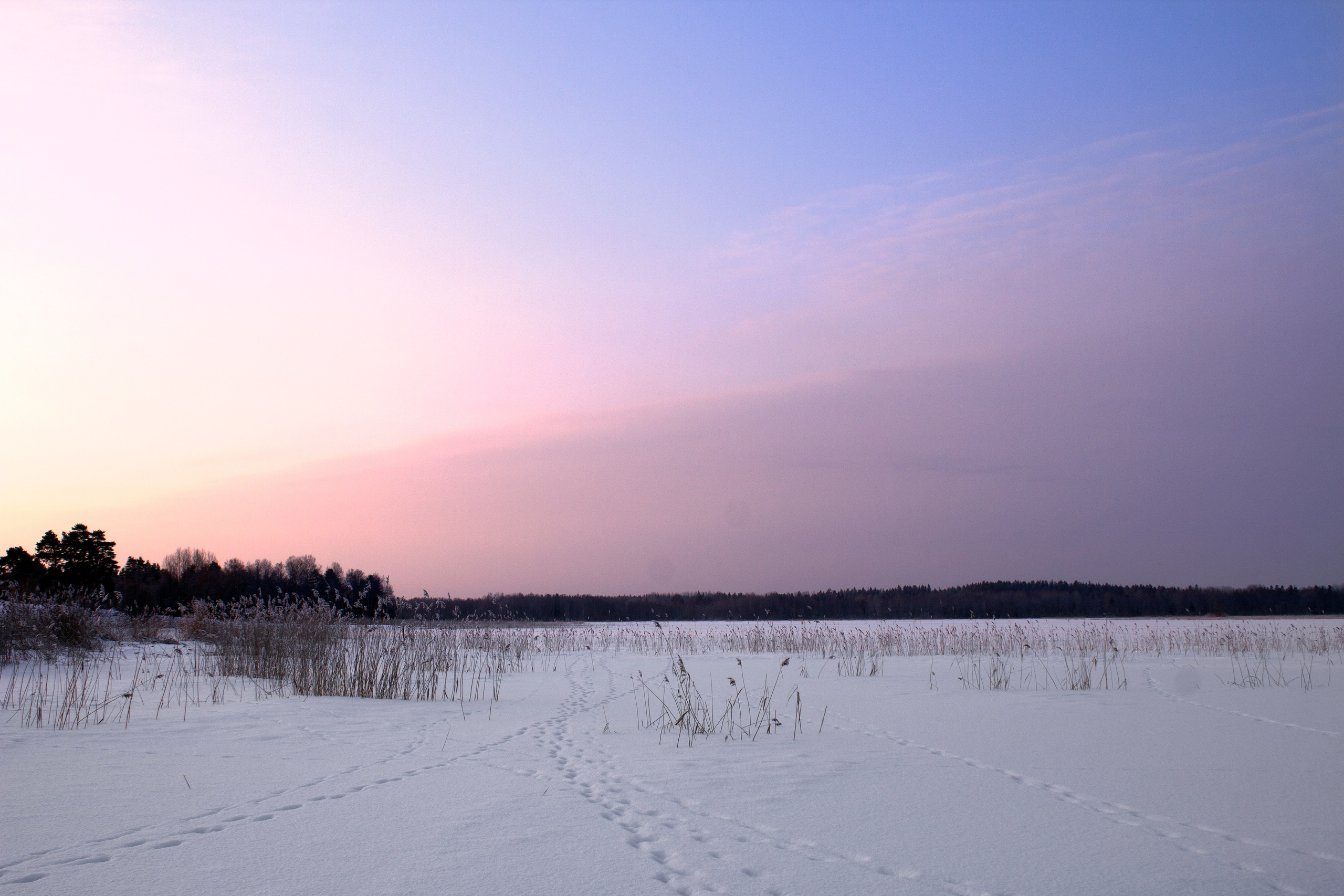 Зима. Природа севера