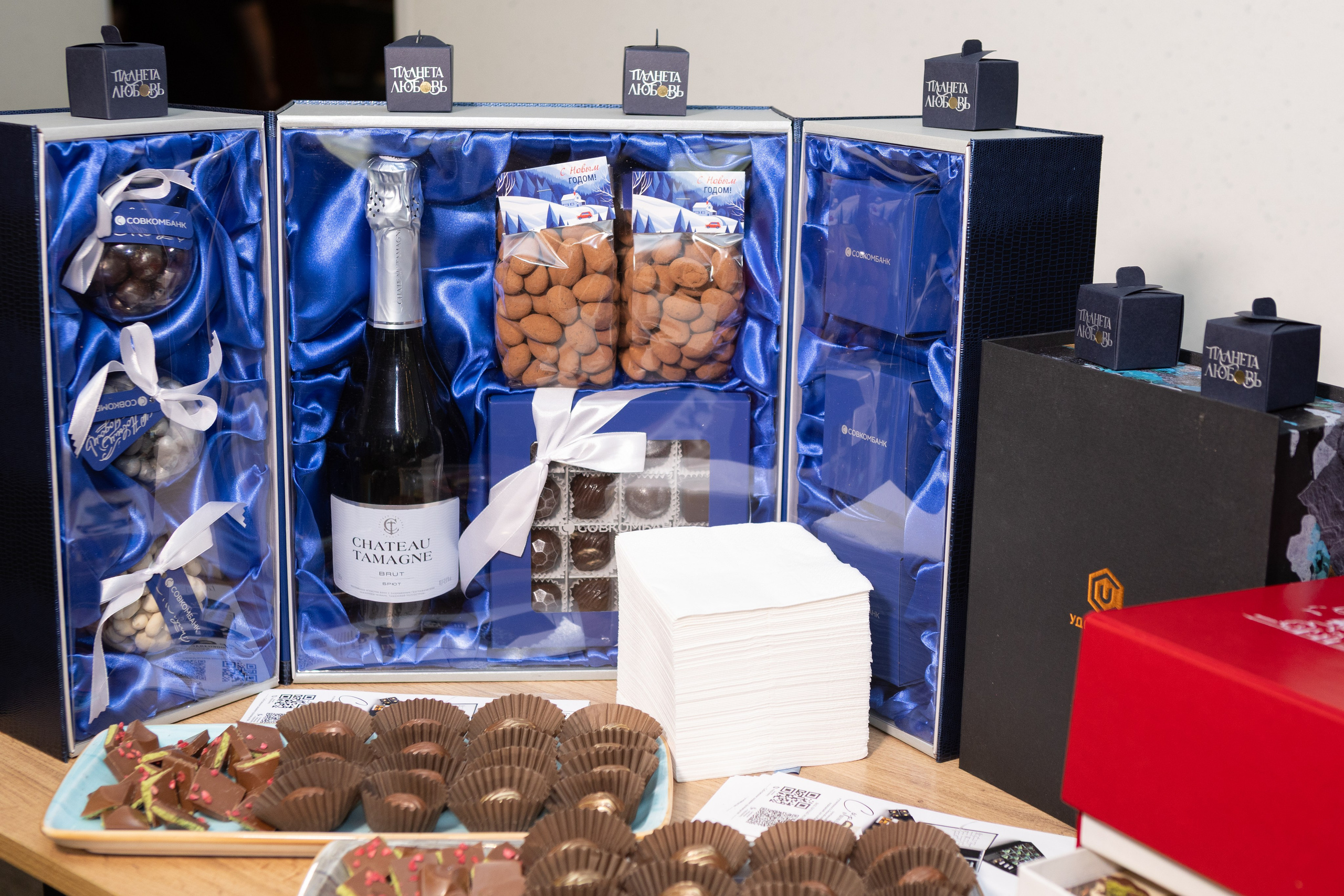 Презентация книги