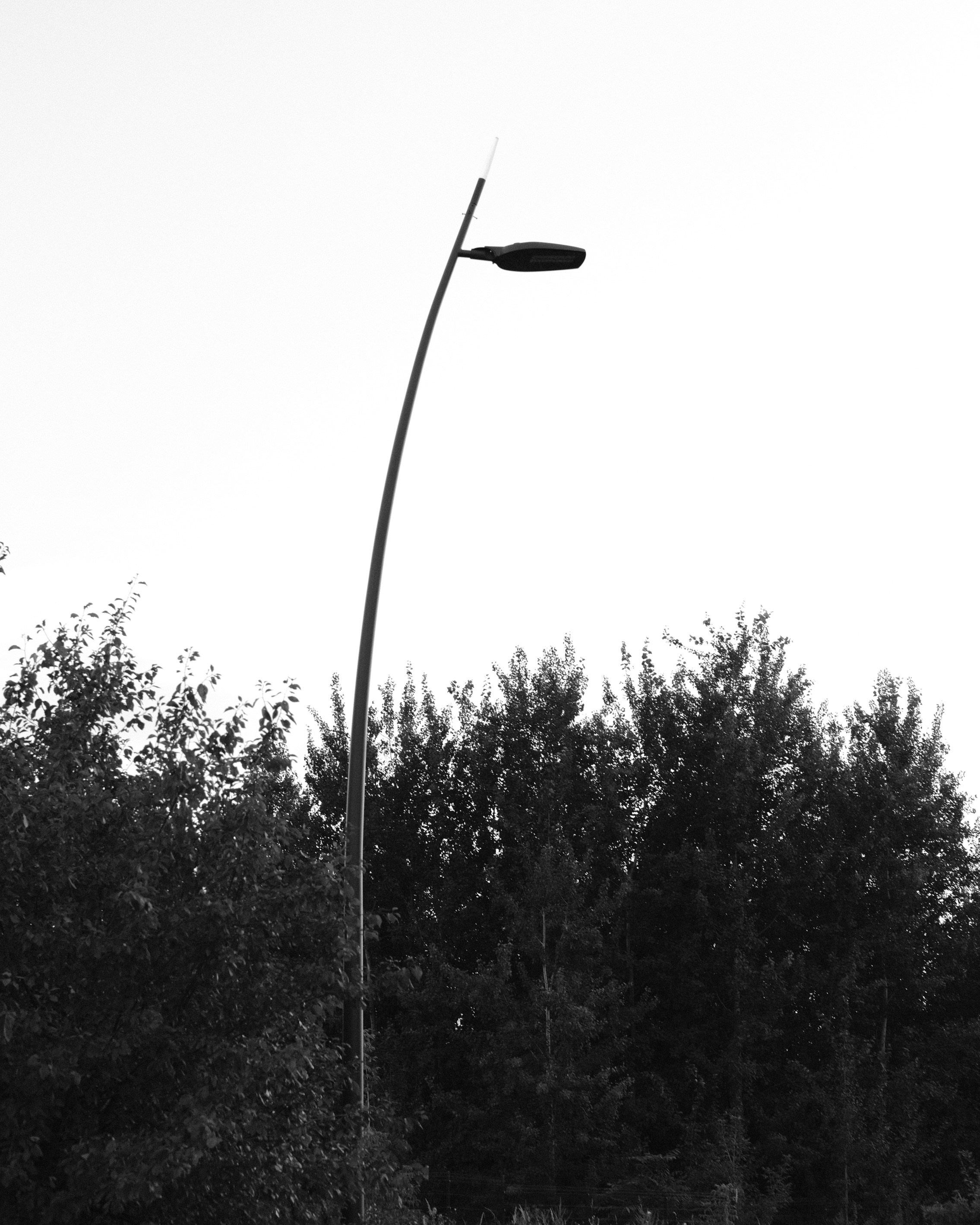 Крылатское. Фотограф Маргана Лоция