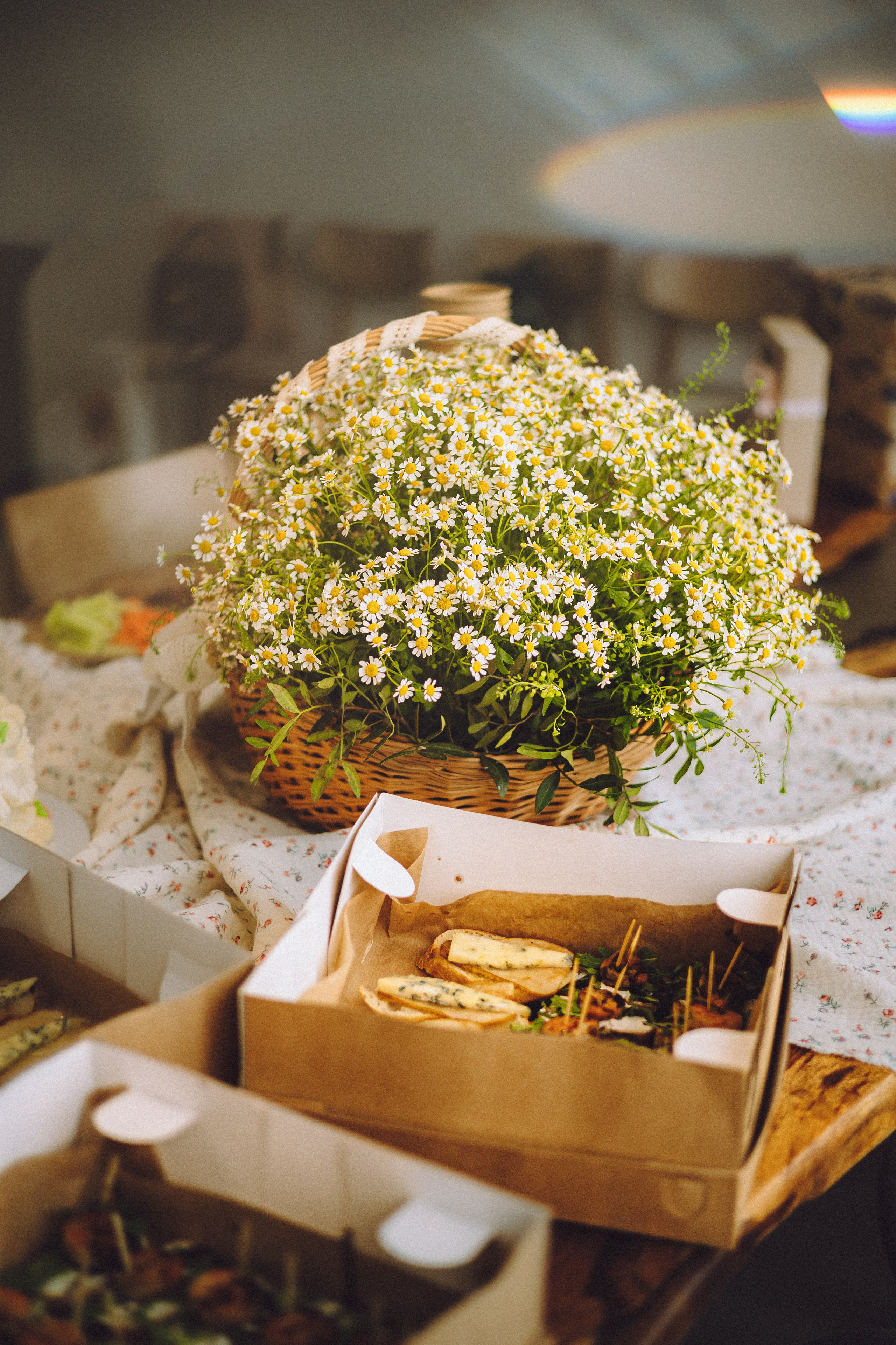 День Рождения пуделя Глаши