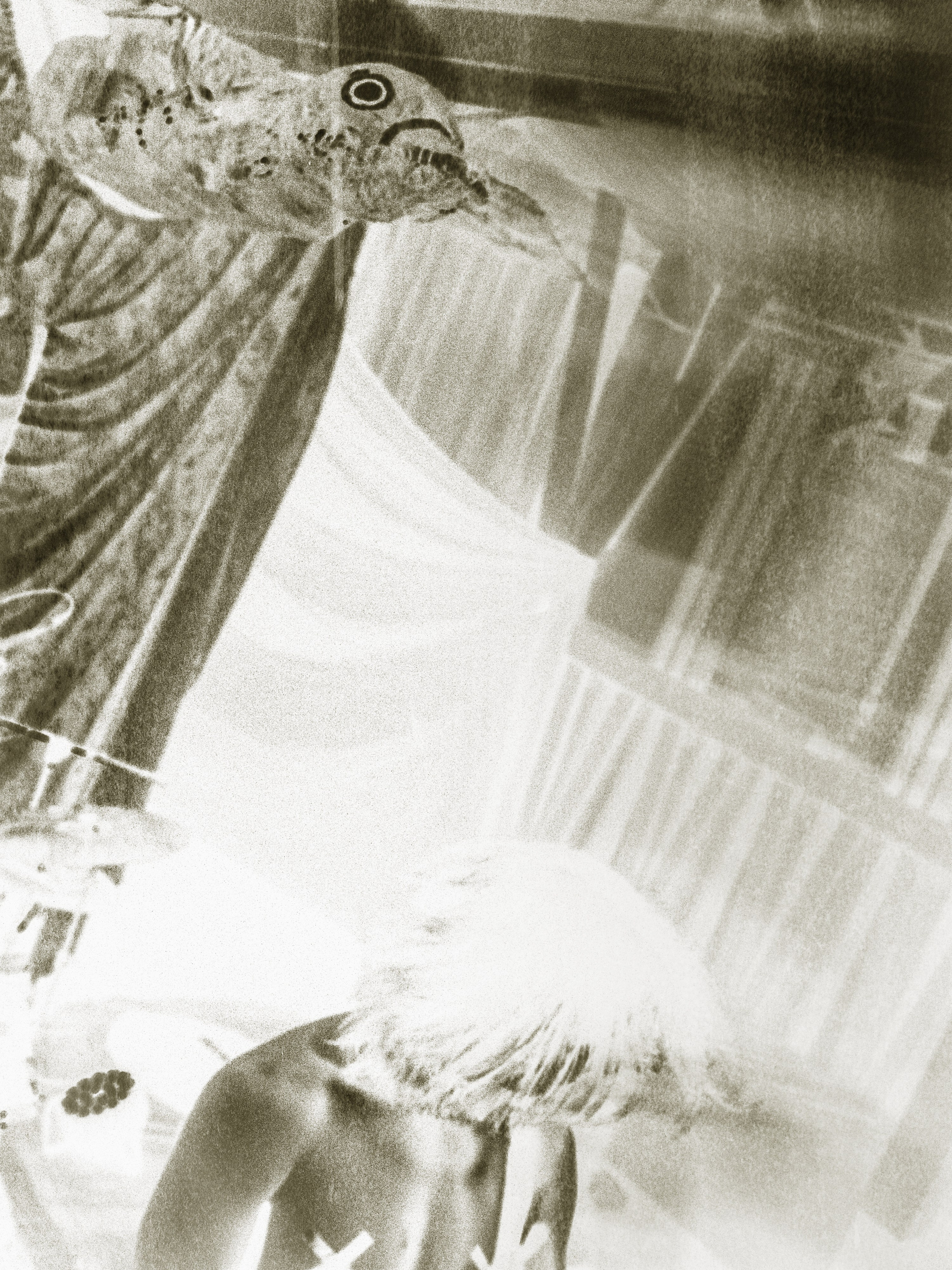 Артхаусная съемка. Касаткин Никита. Фотограф