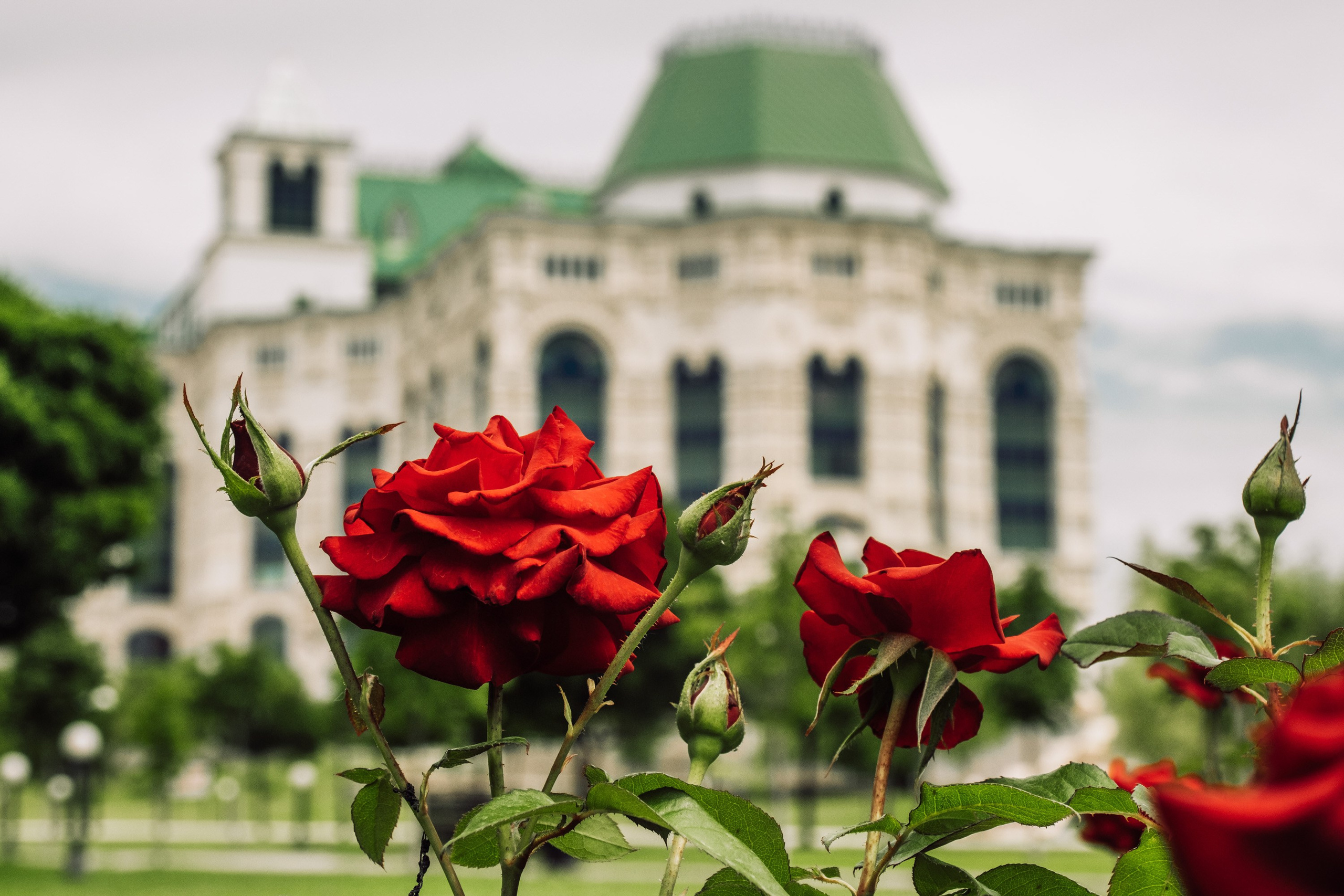 Театральный парк перед дождем. Фотограф Анатолий Деникин
