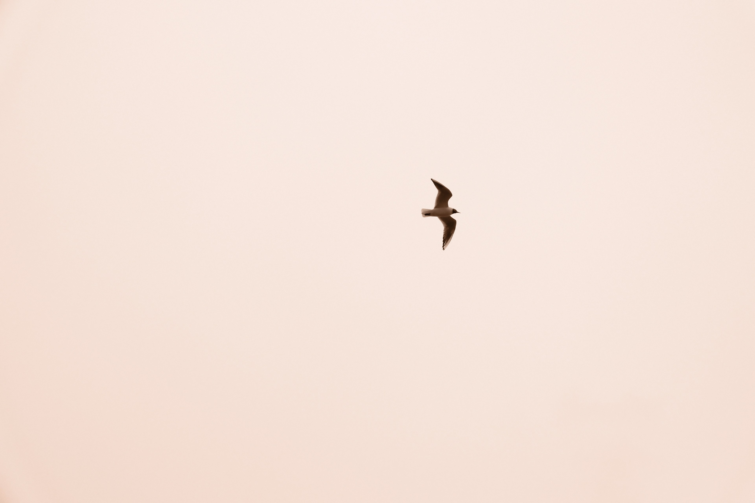 Фотограф Москва. Фотограф и художник в Москве Евгения Нюнина