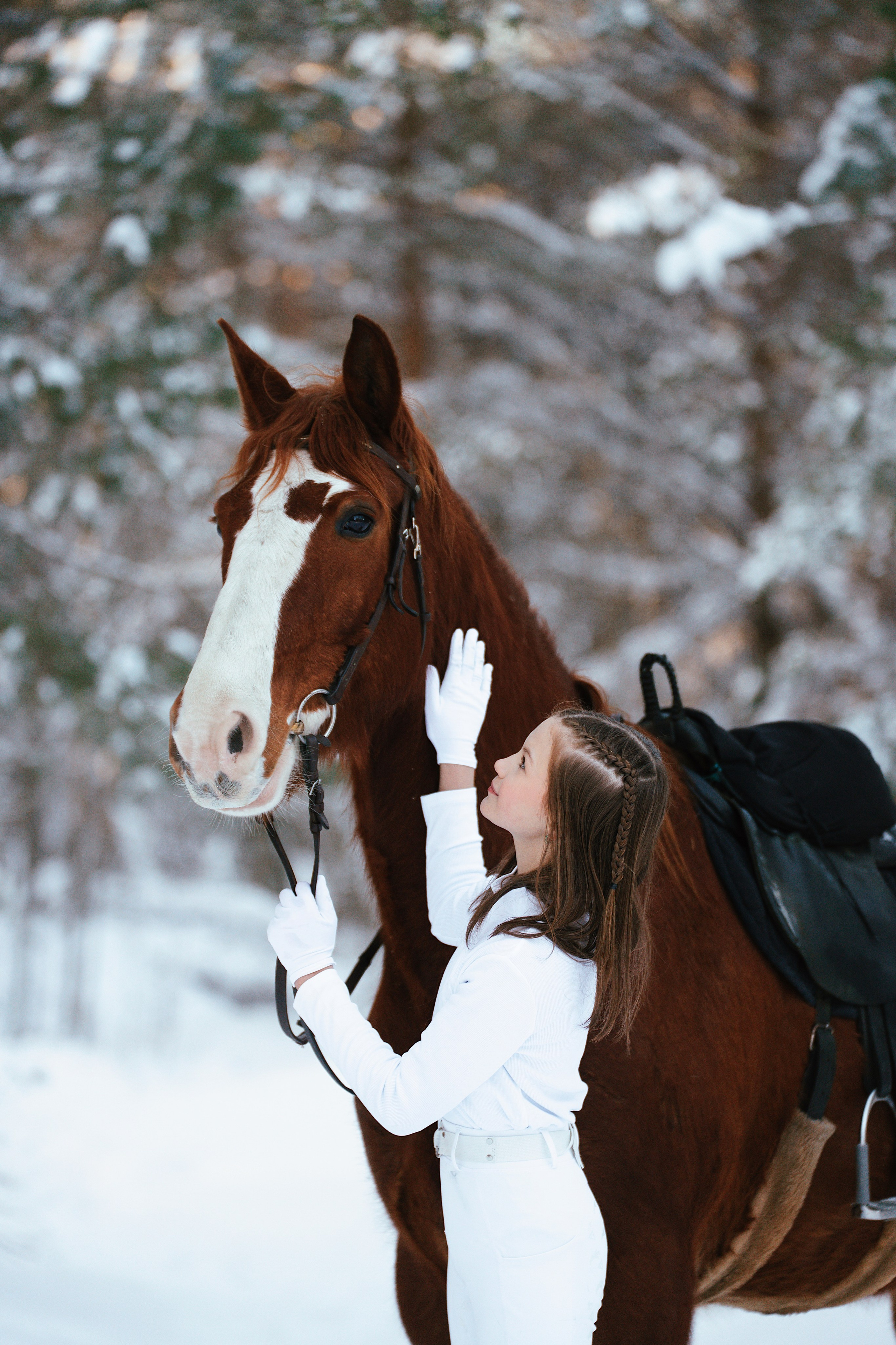 Конные. Фотограф Сибирика (Ирина Кузнецова), Санкт-Петербург и ЛО — портреты, свадьбы и семейные съемки. Творческий подход и качественные фото