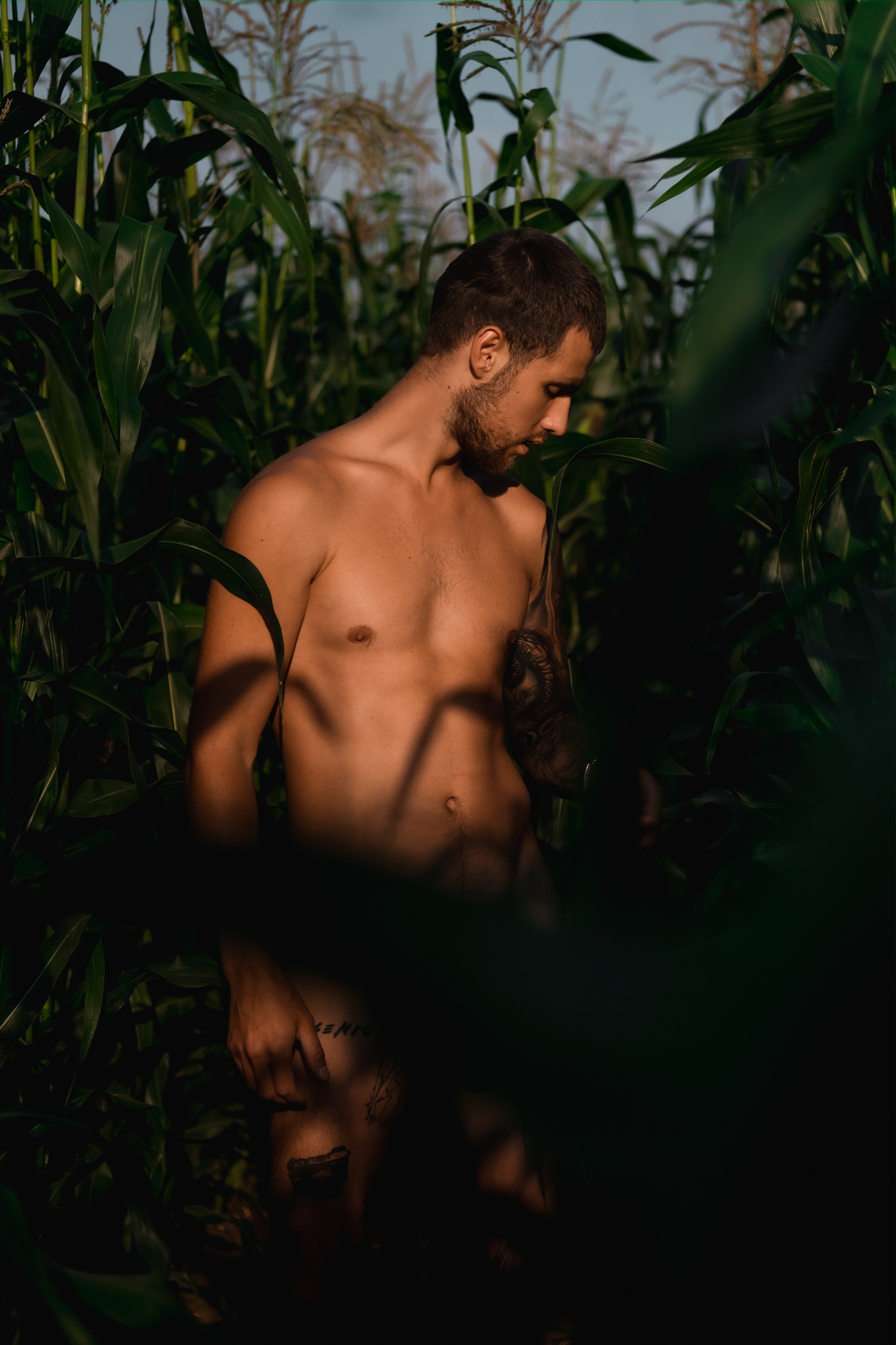 Голый мужчина в кукурузном поле. Фотограф и контентмейкер Света Лето | Москва, МО