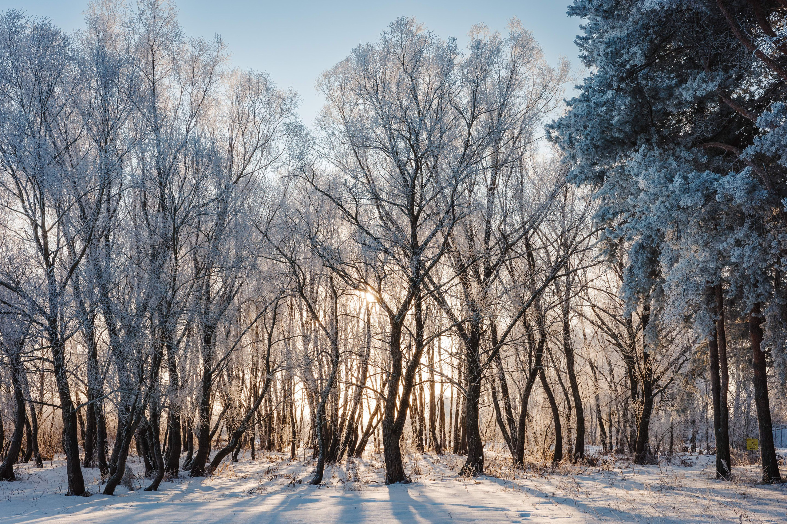 2024.01. Фотограф Алексей Алексеев