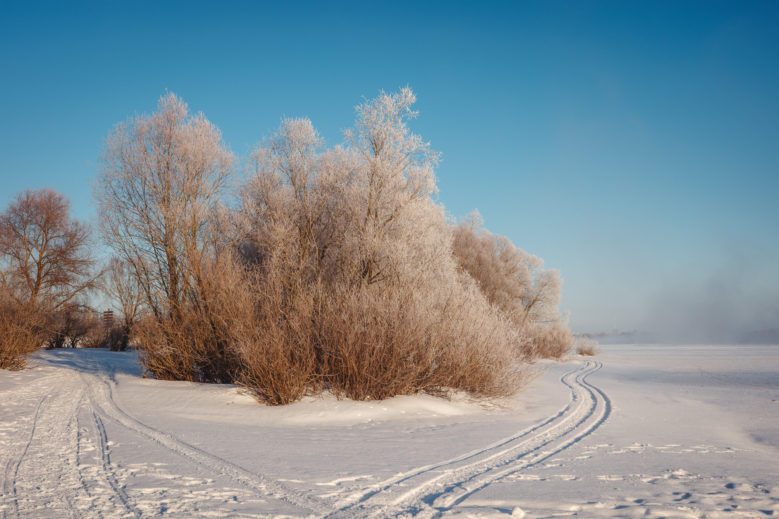 2024.01. Фотограф Алексей Алексеев