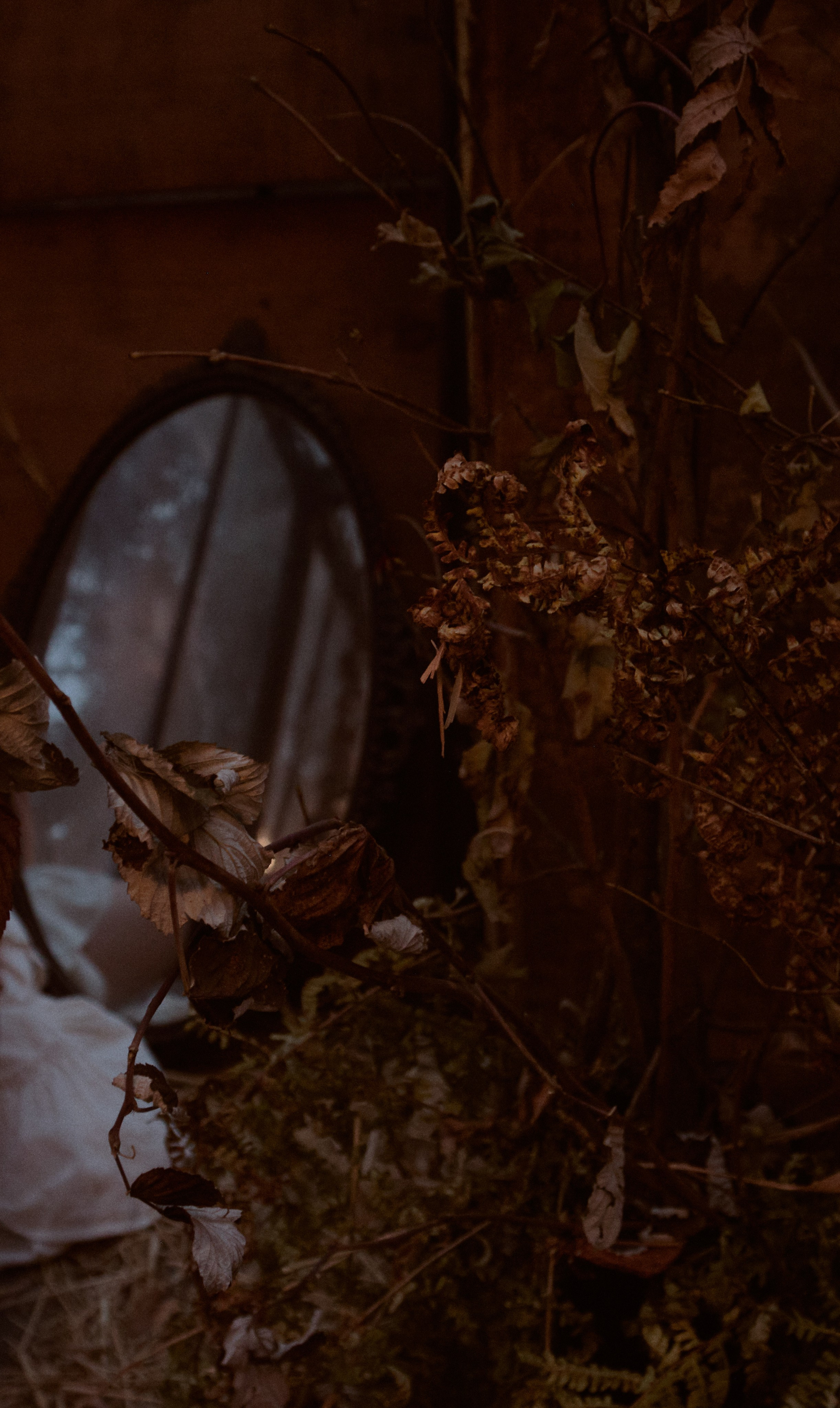 Вампирша. Фотограф лавстори Москва/МО Приятелева Ангелина