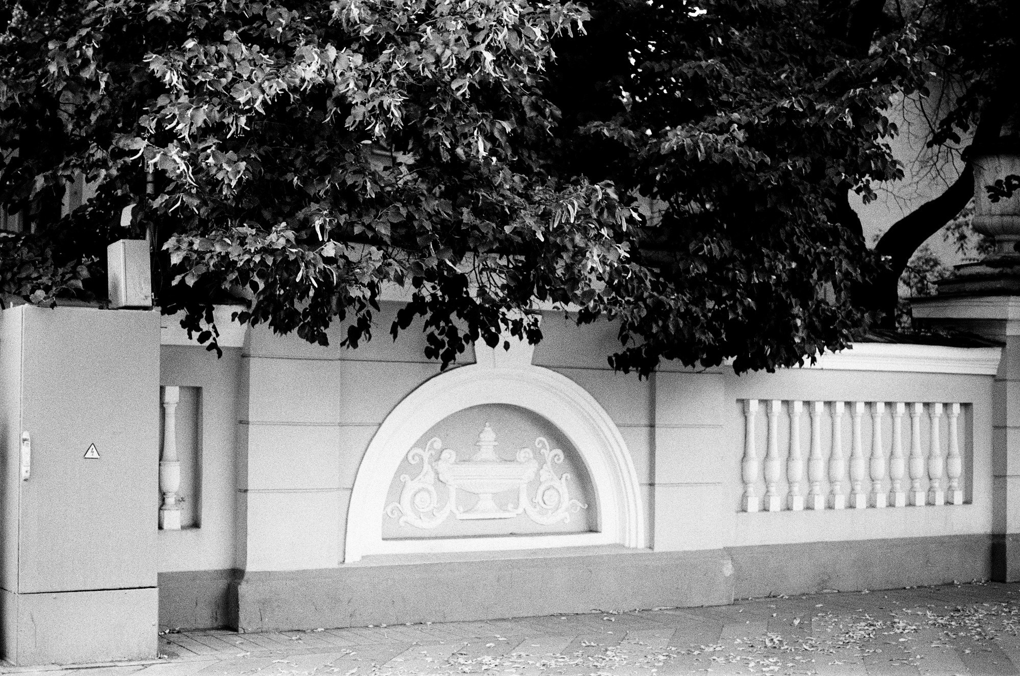 Нескучный сад и Остоженка. Другой Павел Поцелуев. Фотограф в 2025 году