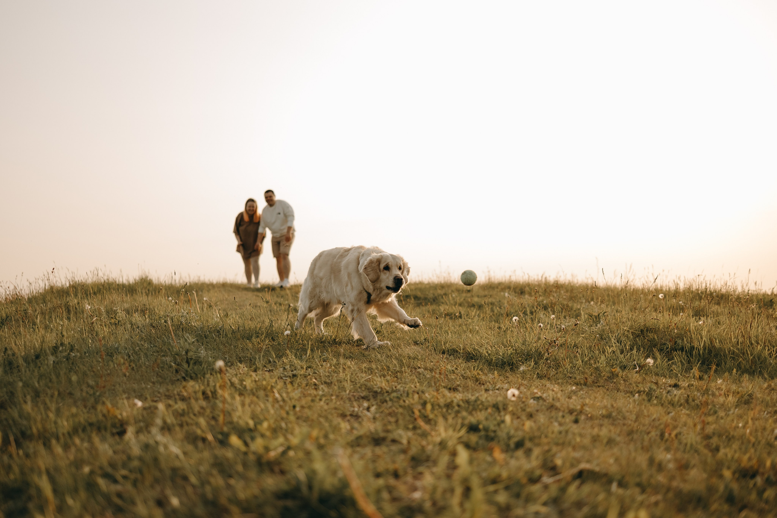 Милка и ребята. Фотограф — Анималист | Санкт-Петербург