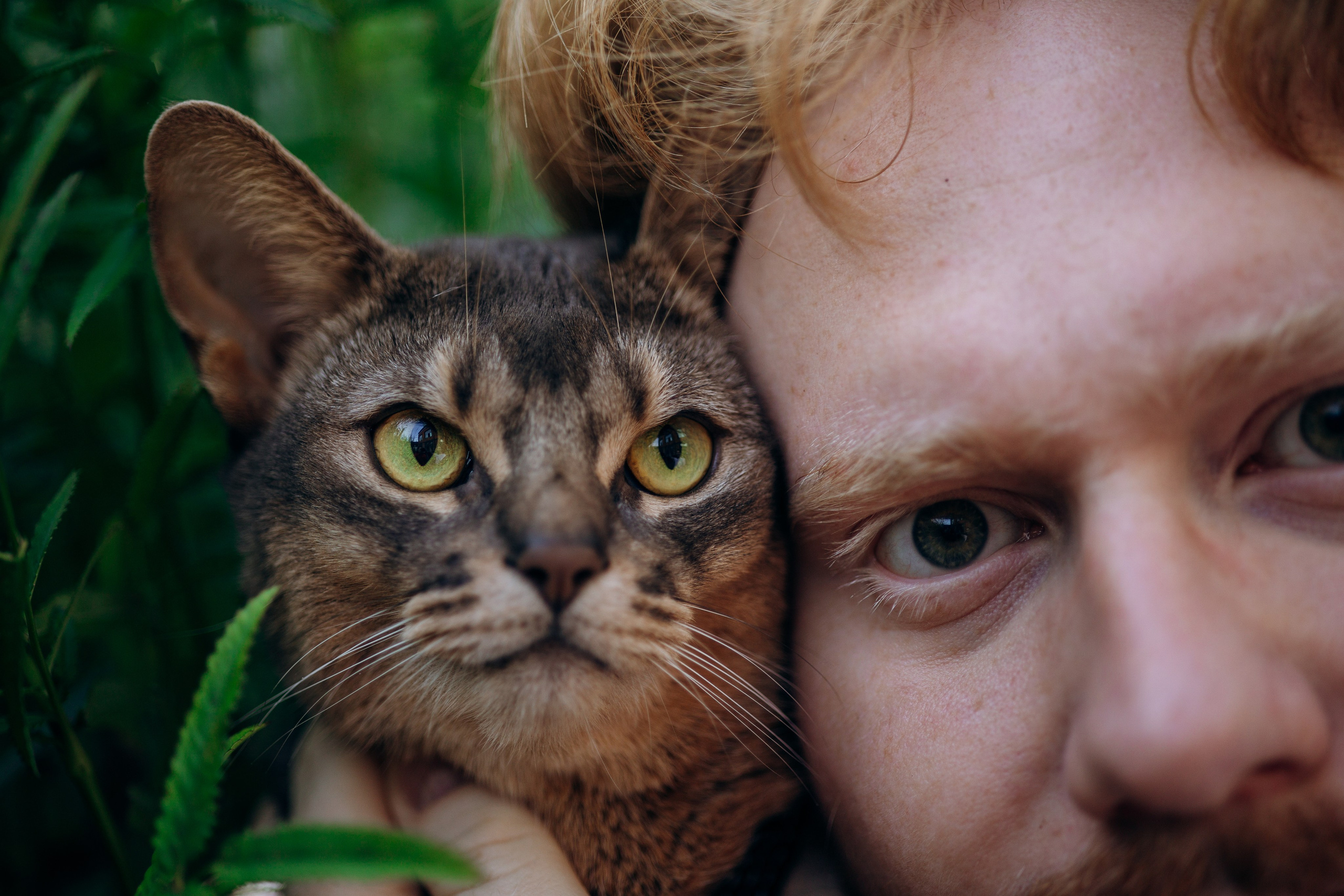 Циско и его семья. Фотограф — Анималист | Санкт-Петербург