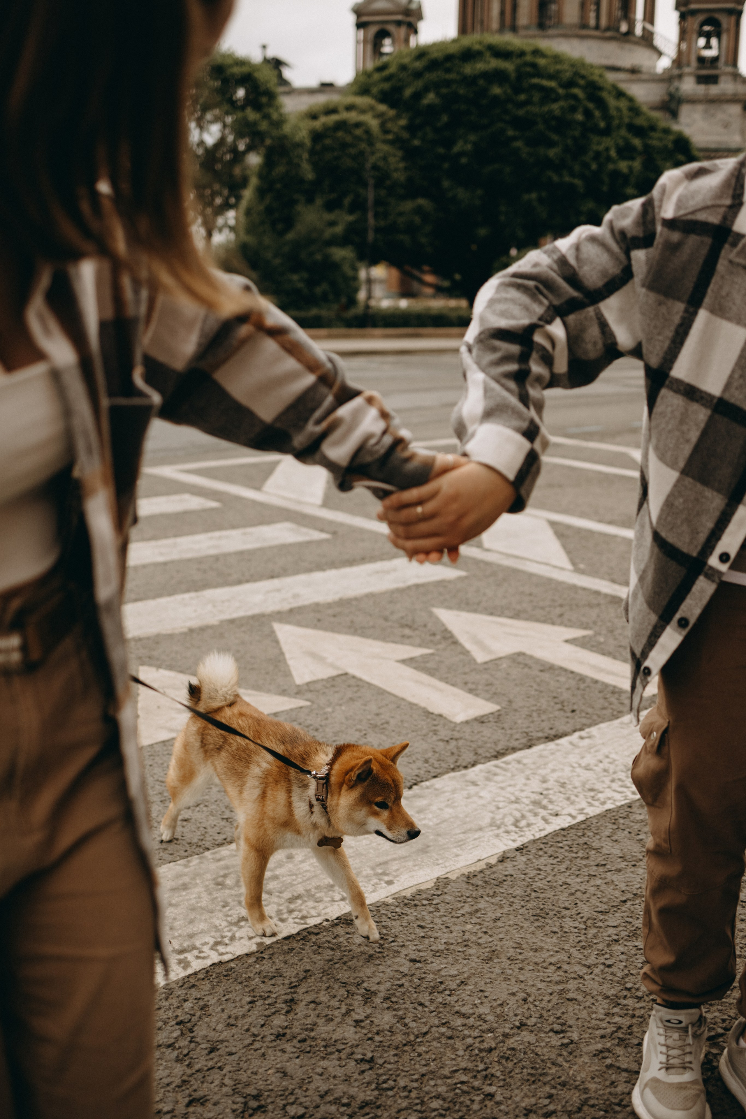 Сириус и его семья. Фотограф — Анималист | Санкт-Петербург