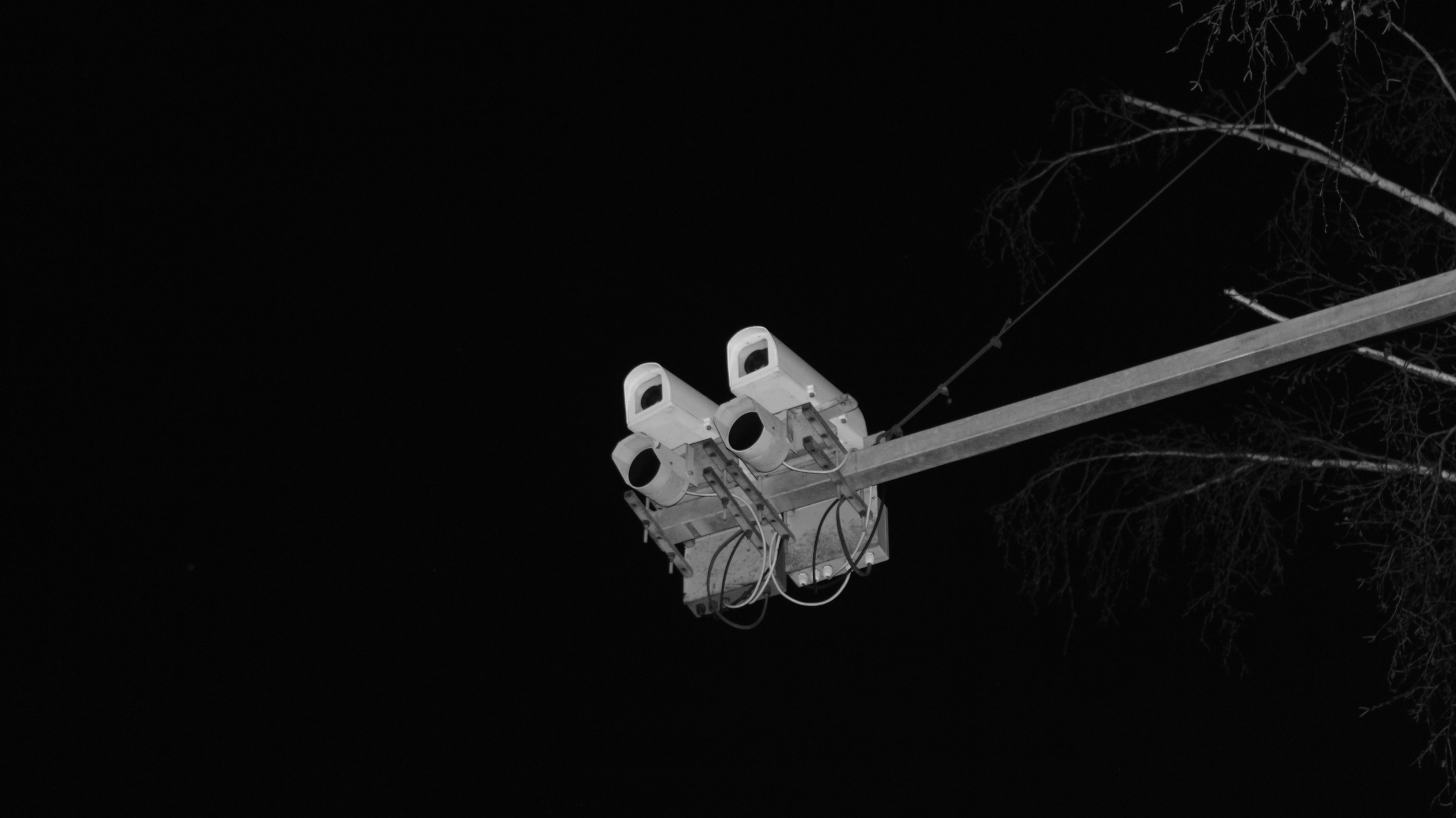 TMN winter '25 (wb). Фотограф/дизайнер в Екатеринбурге Хитрый Дмитрий