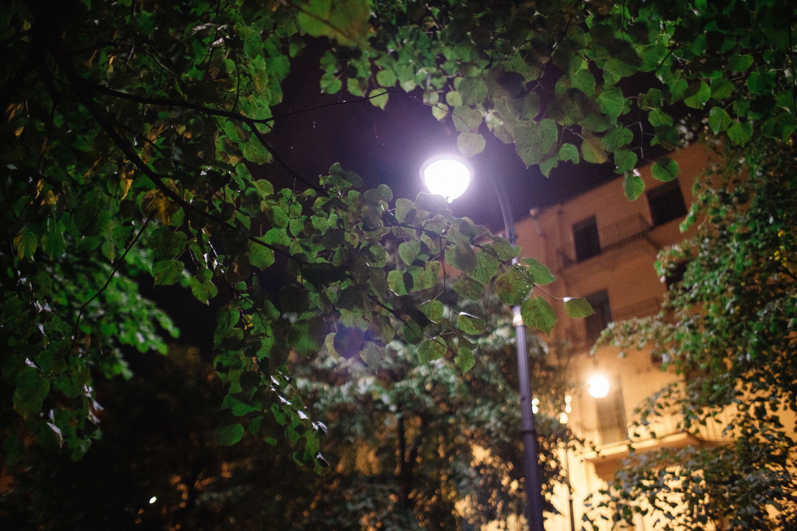 Солодухины в Петербурге. Семейный и свадебный фотограф в Майкопе Михаил Мартиросян