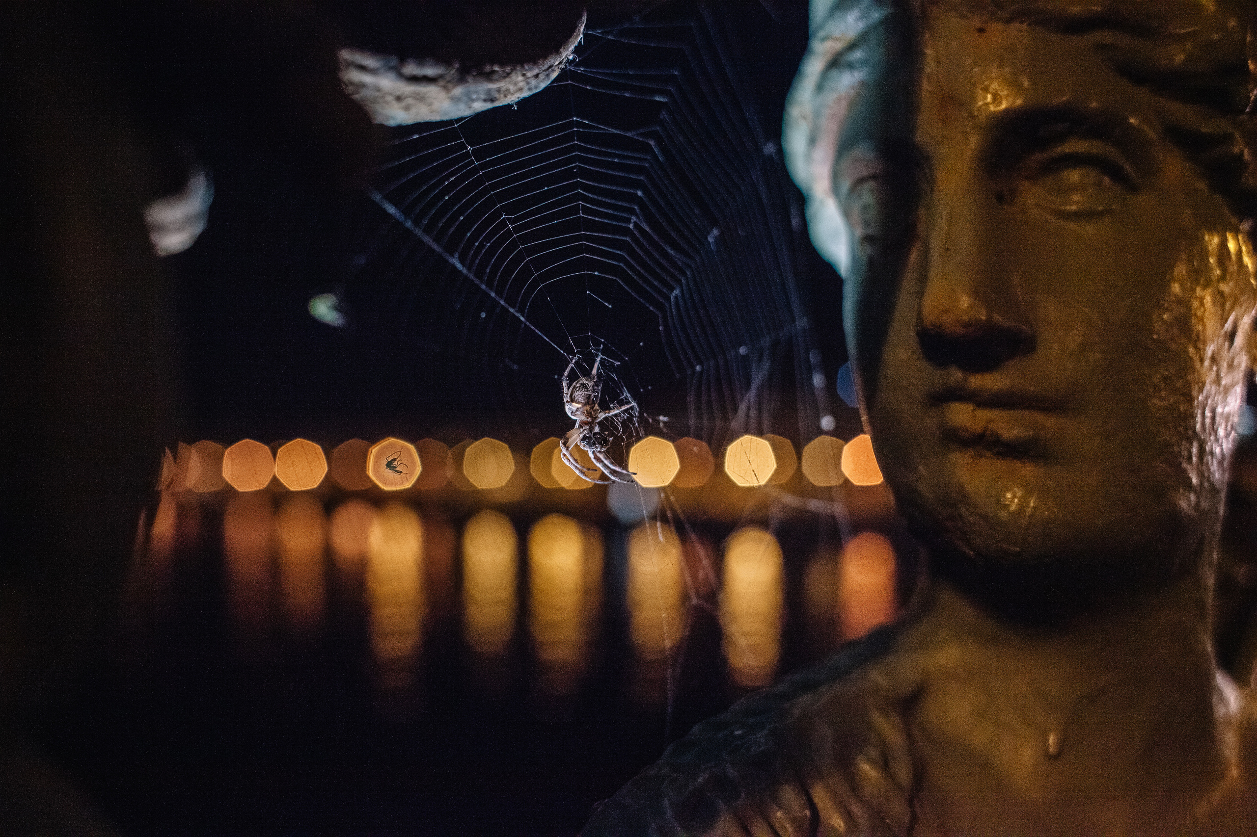 Солодухины в Петербурге. Семейный и свадебный фотограф в Майкопе Михаил Мартиросян