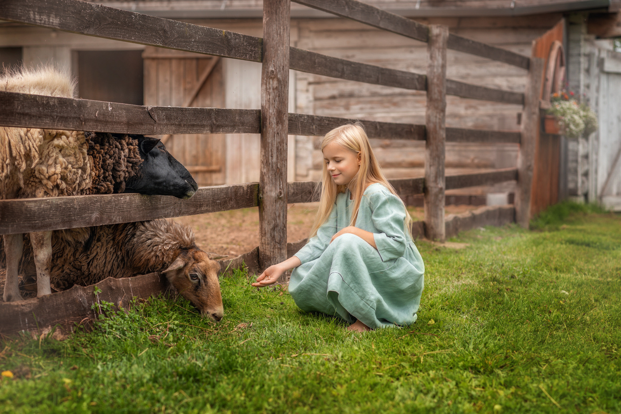 Детский и семейный фотограф в Пскове Катерина Иванова