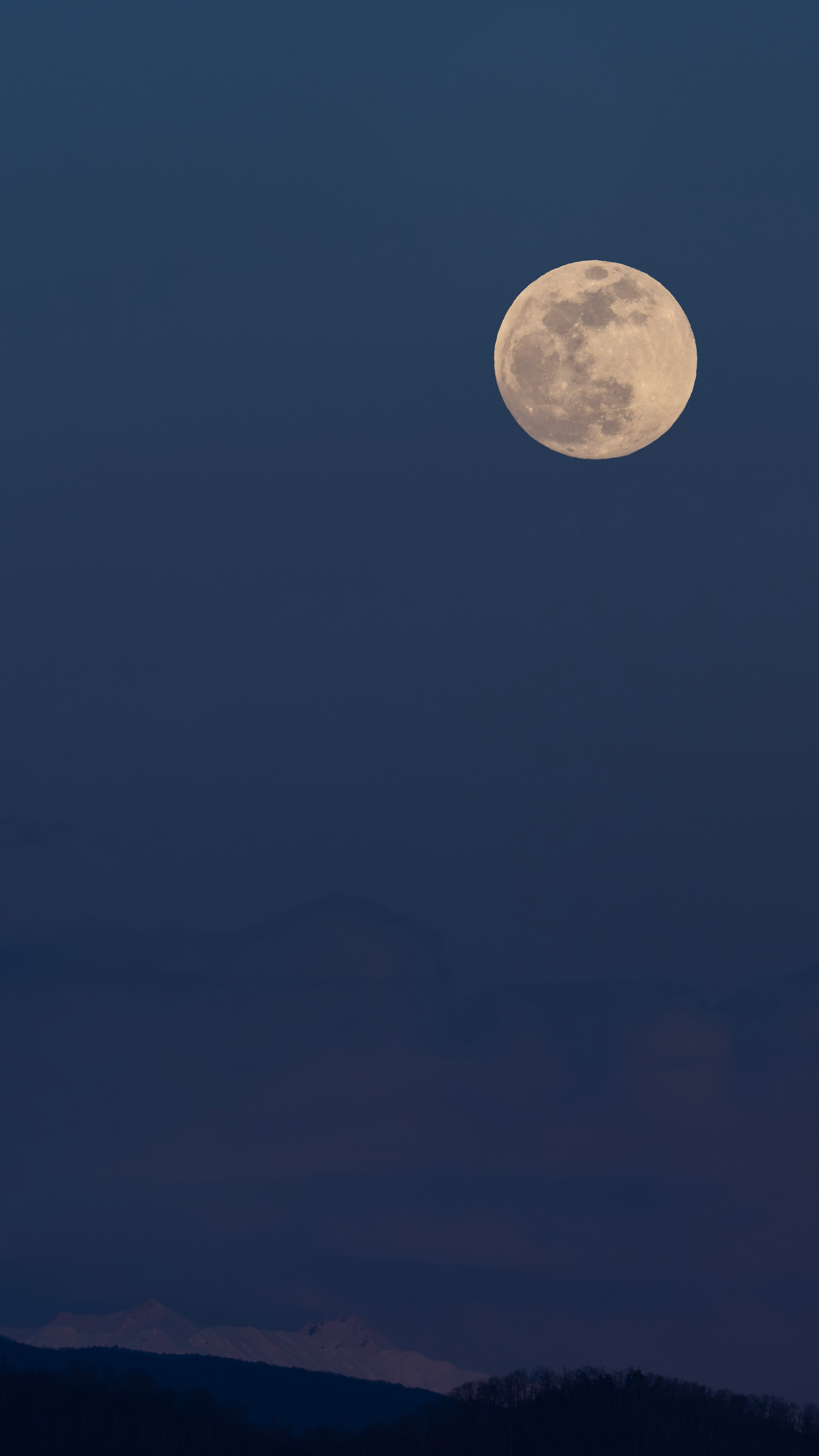 Заставки. Главная