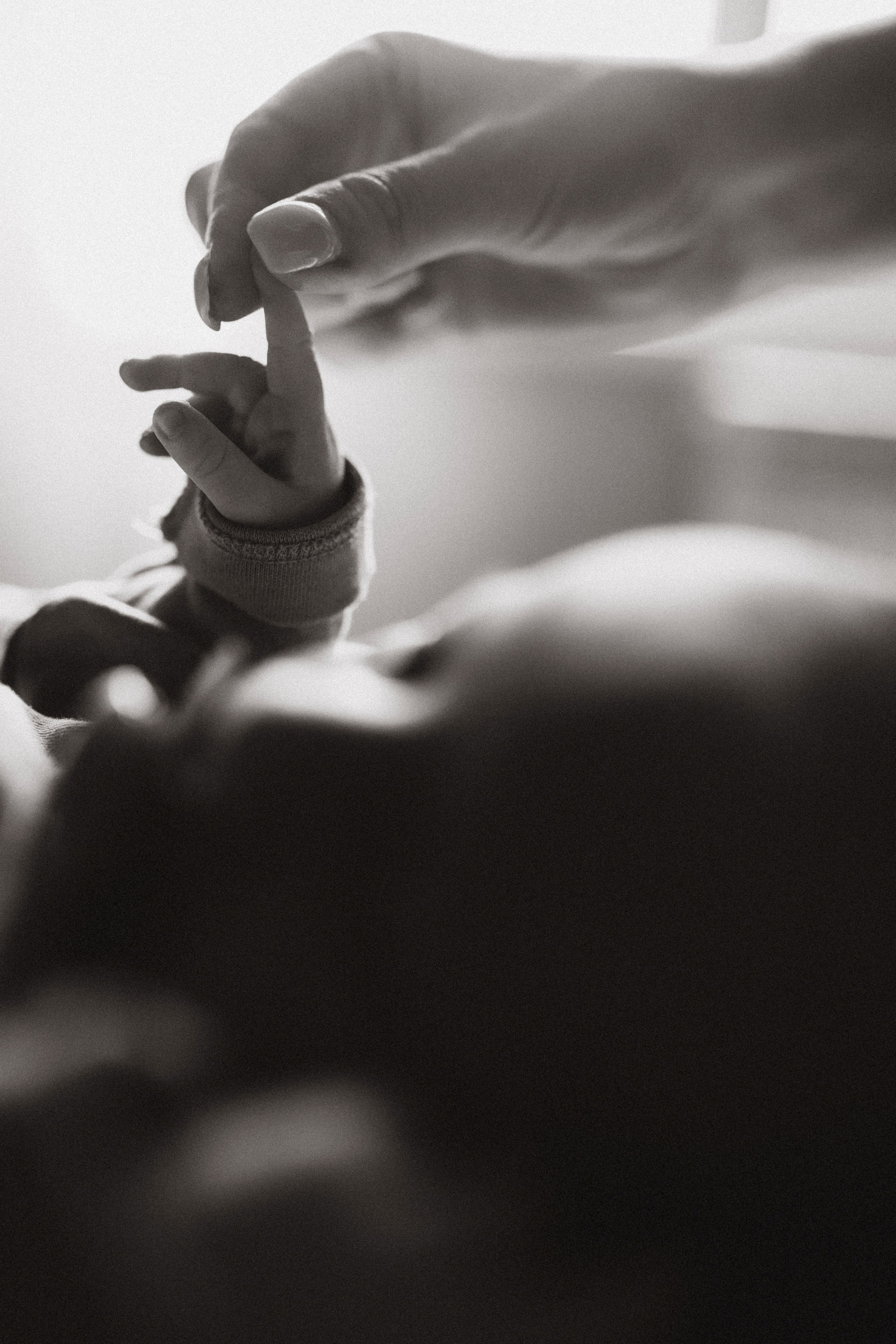 Марк. Семейный и детский фотограф Башкатова Дарья Старый Оскол