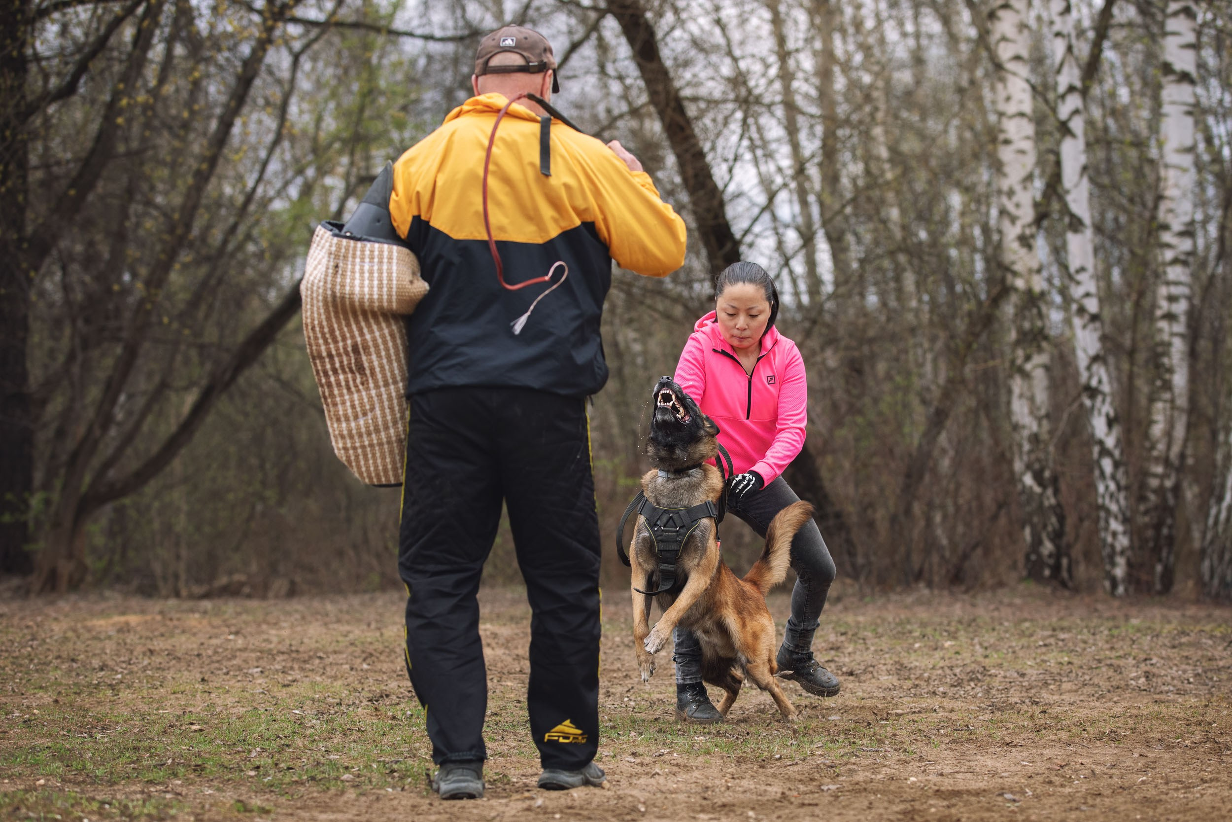 Съемка для рекламы услуг кинолога. Фотограф-анималист в Москве и Московской области Татьяна Фролова