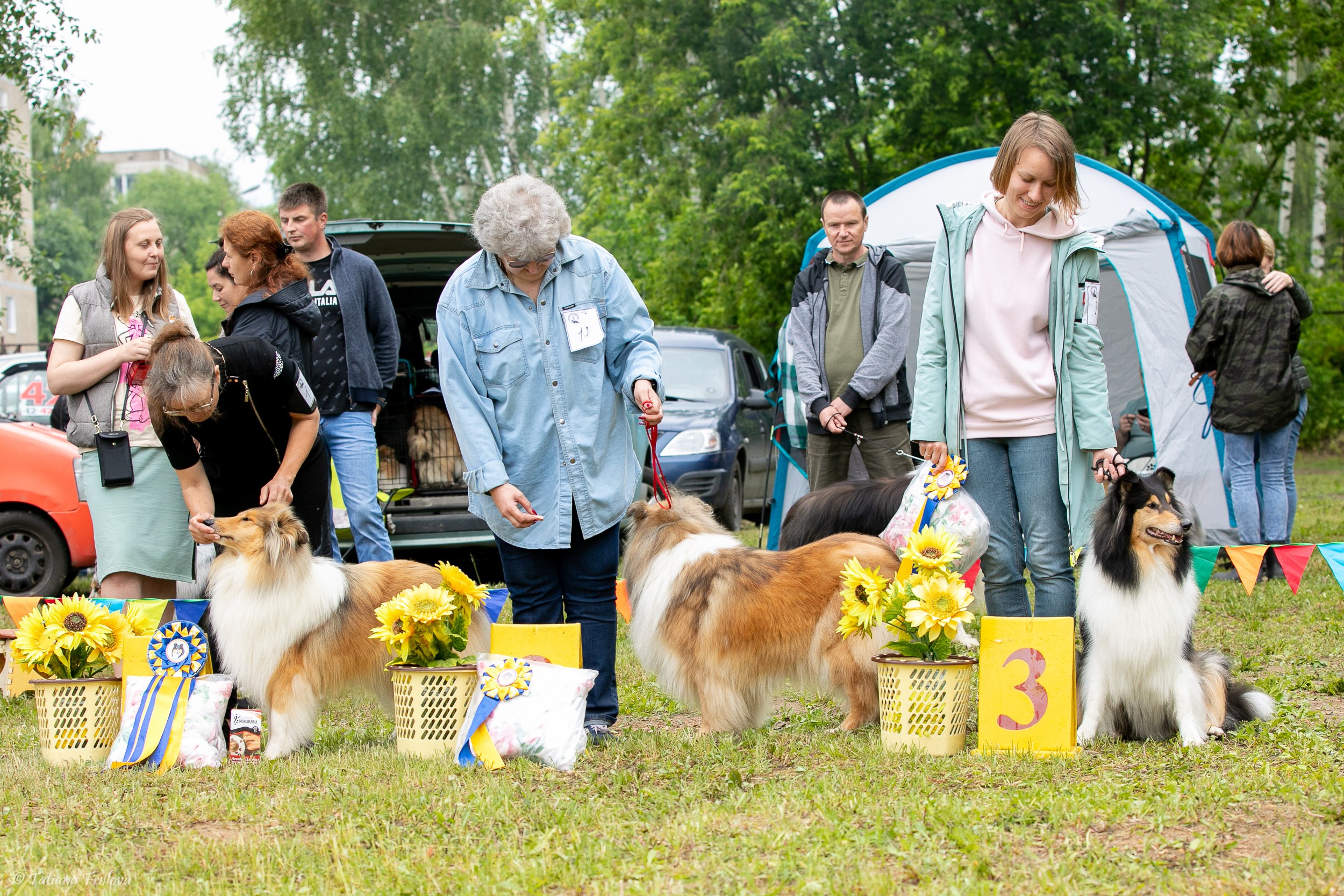 Фотосопровождение выставки собак в Московской области и Москве. Фотограф-анималист в Москве и Московской области Татьяна Фролова