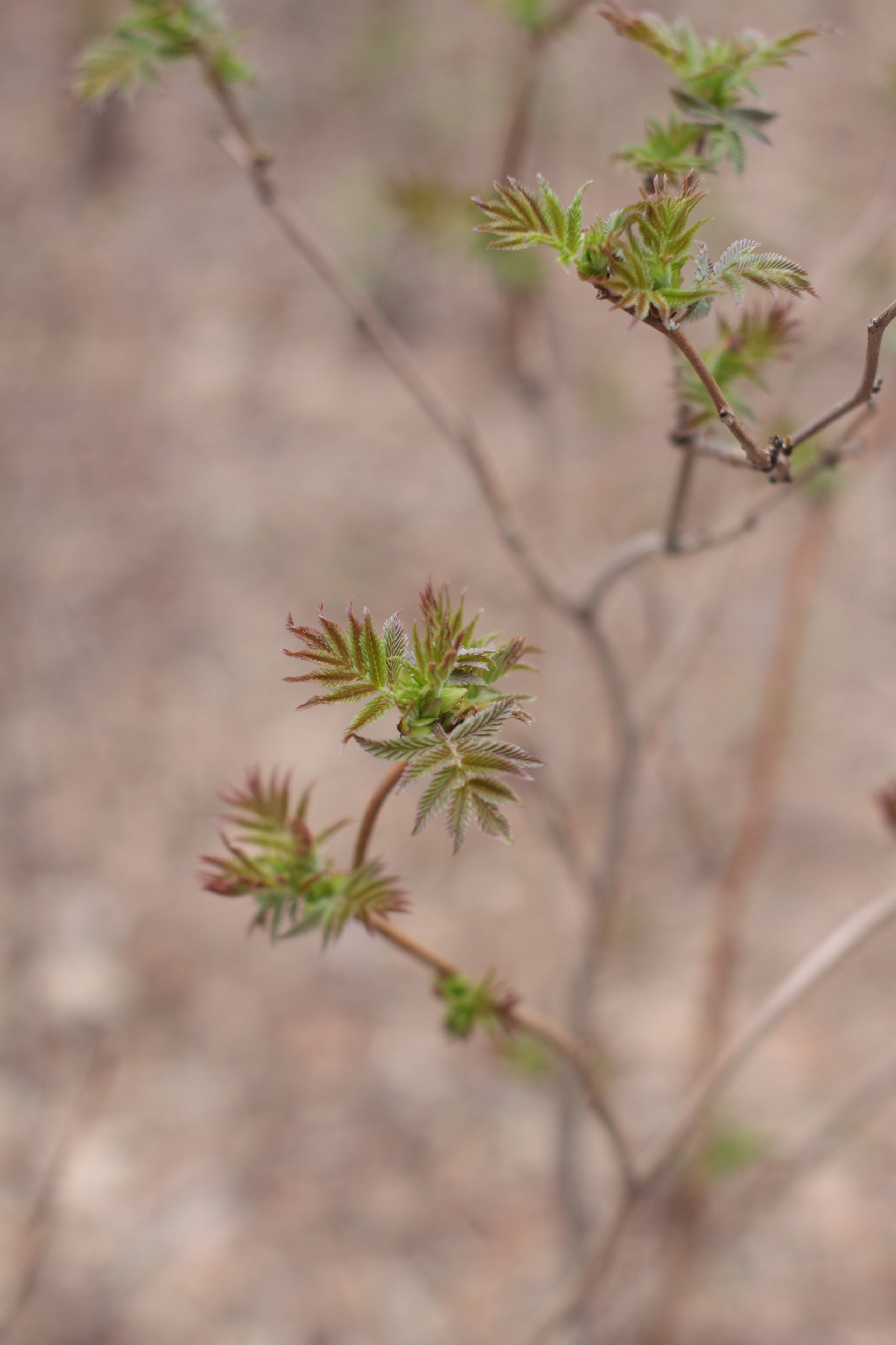 Старое природное, отбирала Katamount (Катерина Горохова). Главная