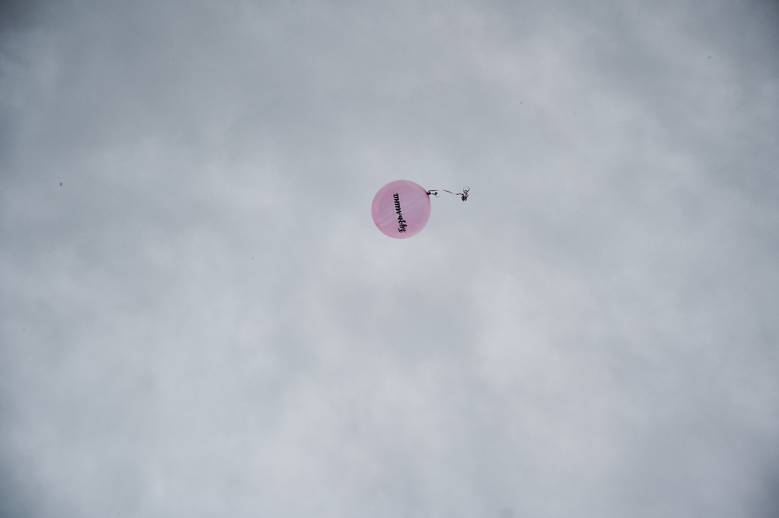 Свадебная фотосессия в Новокузнецке — Дарья и Александр