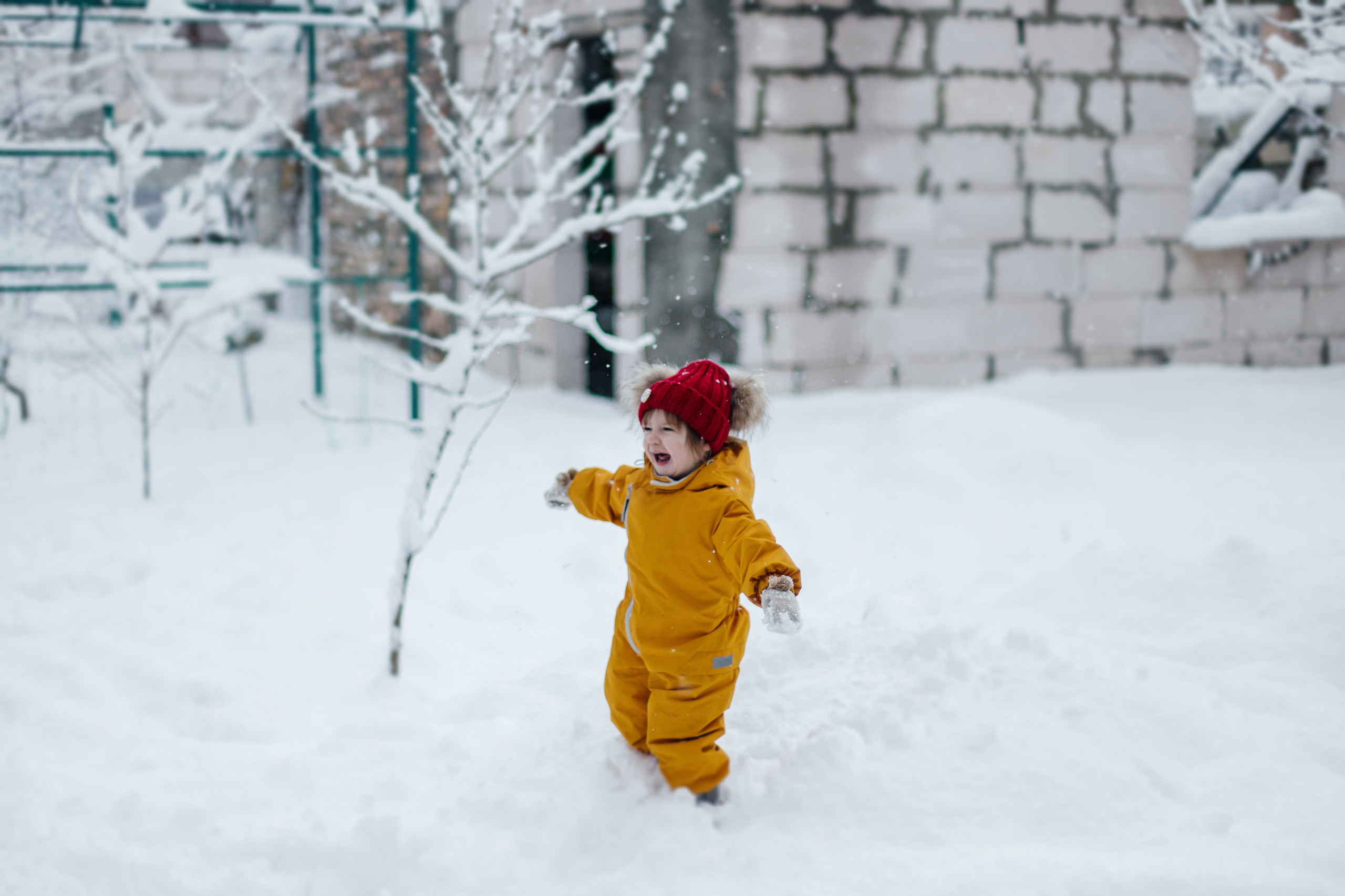 ПЕРВЫЙ СНЕГ. Семейный и детский фотограф в Крыму Екатерина Швец