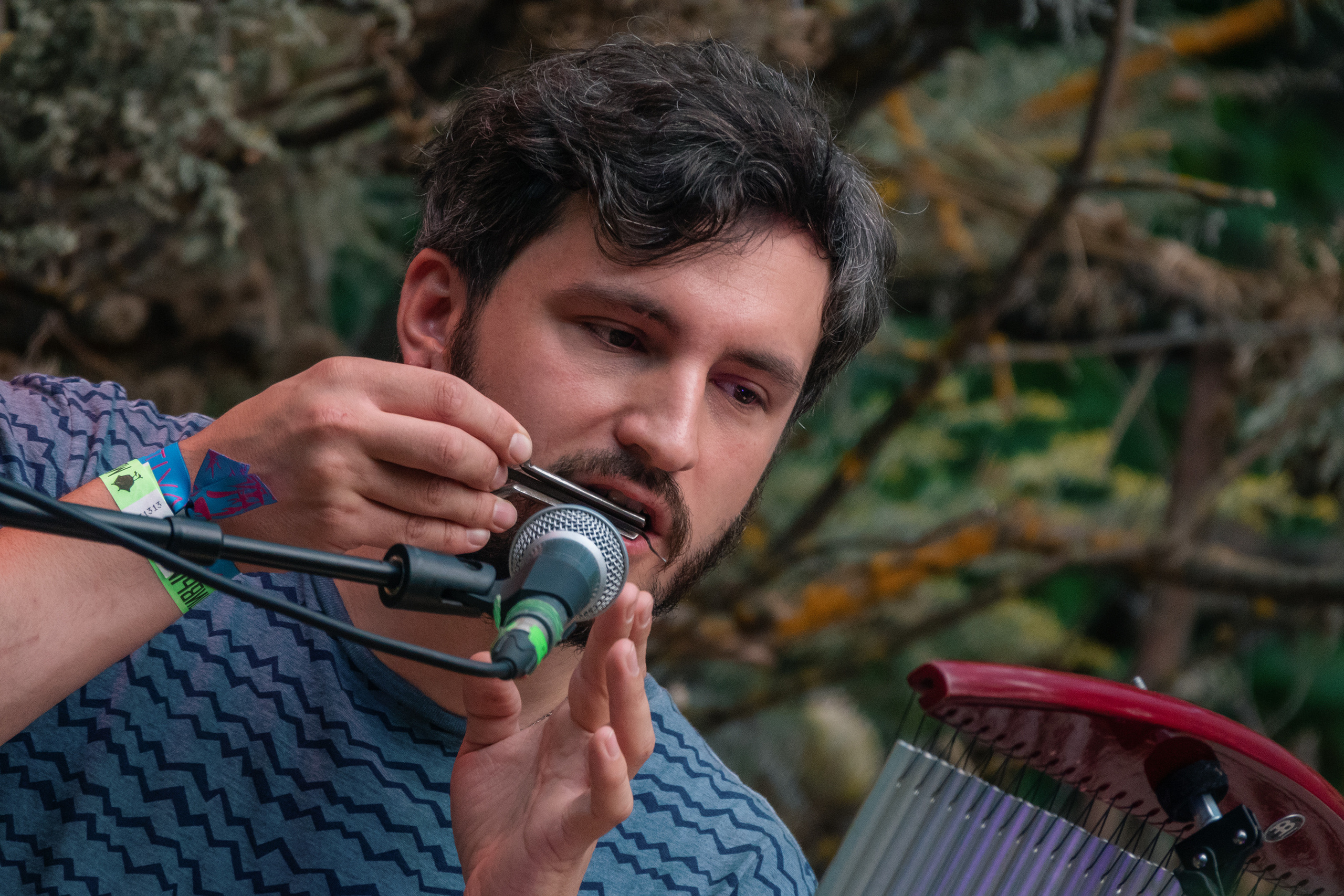 Выступление Forest Jam Project. Фестиваль Сказка 2021. Фотограф-анималист в Москве Юлия Лайхо