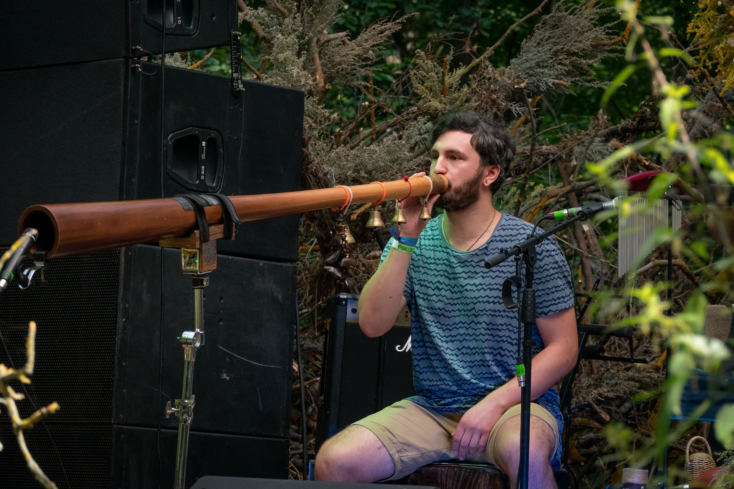 Выступление Forest Jam Project. Фестиваль Сказка 2021. Фотограф-анималист в Москве Юлия Лайхо