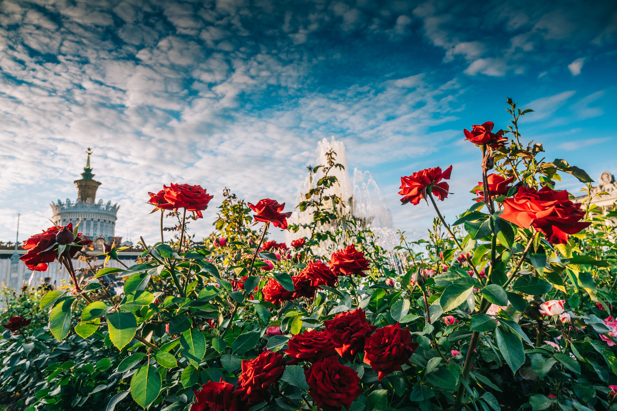Вечерняя прогулка по ВДНХ. Фотограф-анималист в Москве Юлия Лайхо