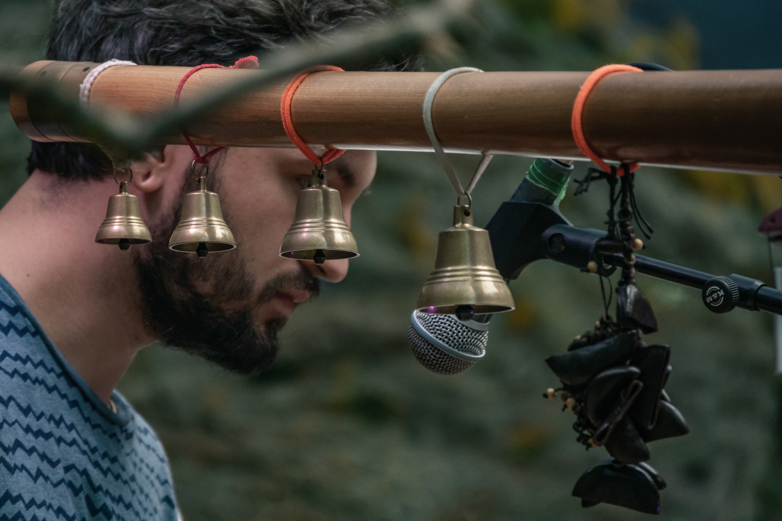 Выступление Forest Jam Project. Фестиваль Сказка 2021. Фотограф-анималист в Москве Юлия Лайхо