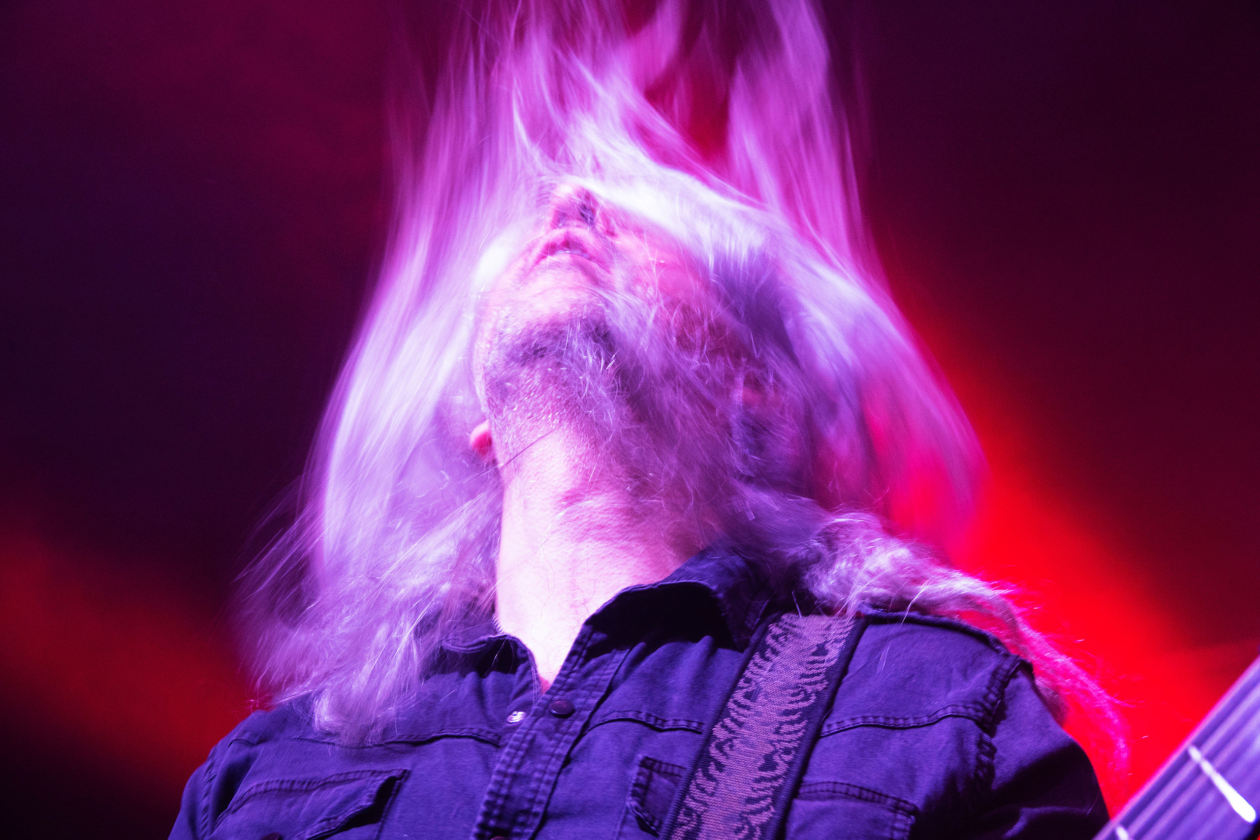 Игорь Куприянов. Юбилейный концерт 6:0. Фотограф-анималист в Москве Юлия Лайхо