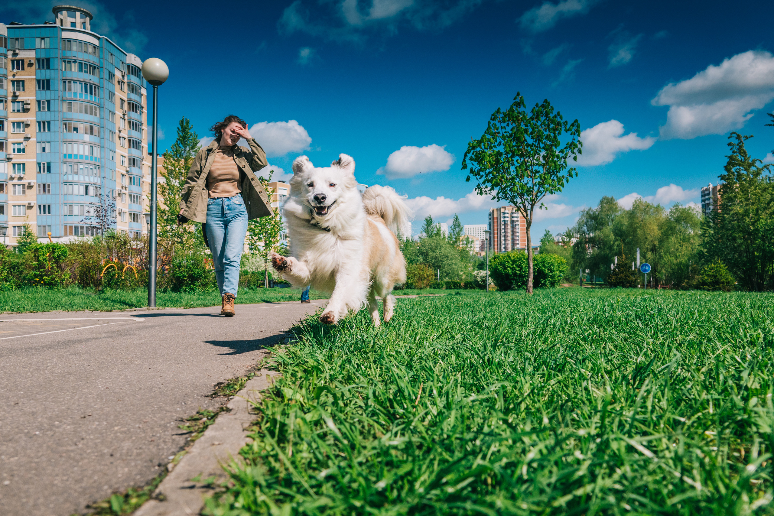 Фотоссесия красавчика пса Даная и его человека Оли. Фотограф-анималист в Москве Юлия Лайхо