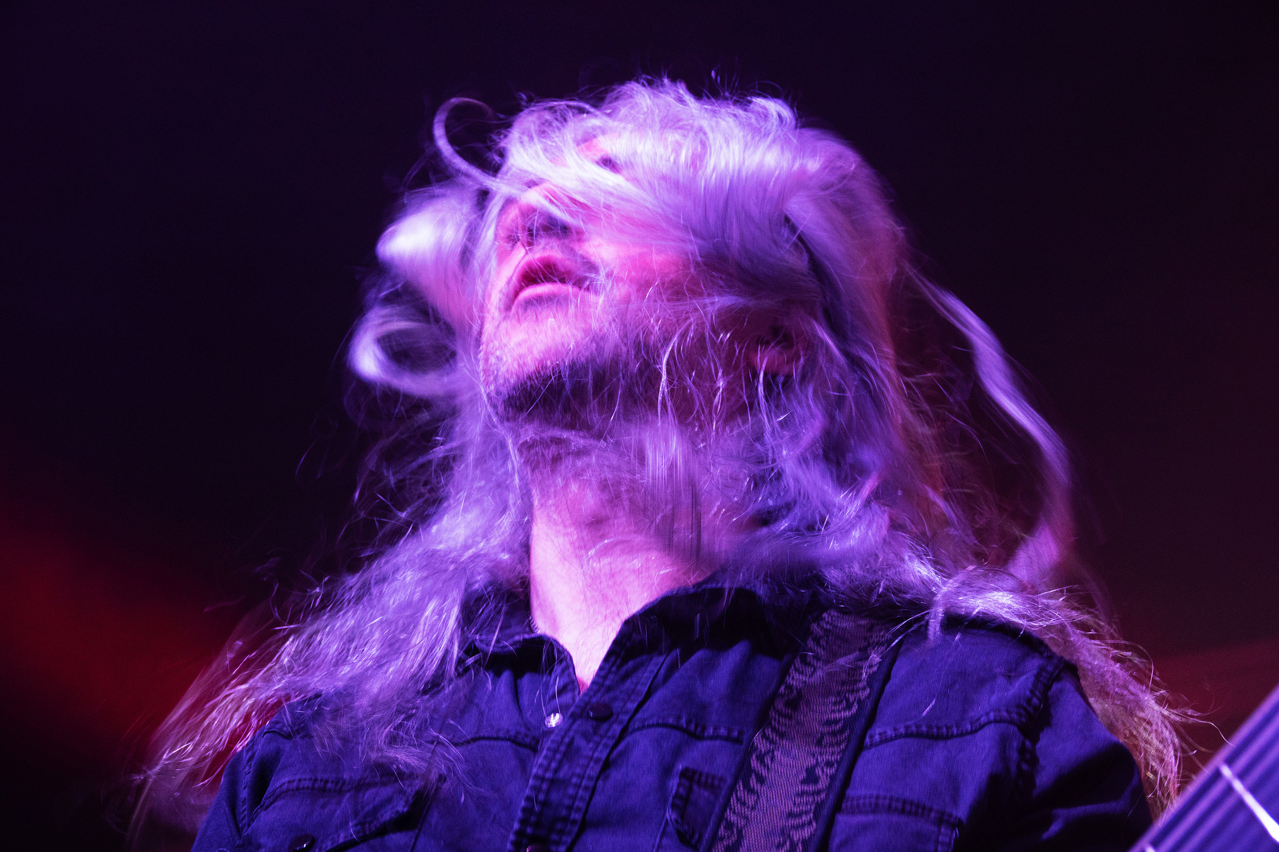 Игорь Куприянов. Юбилейный концерт 6:0. Фотограф-анималист в Москве Юлия Лайхо