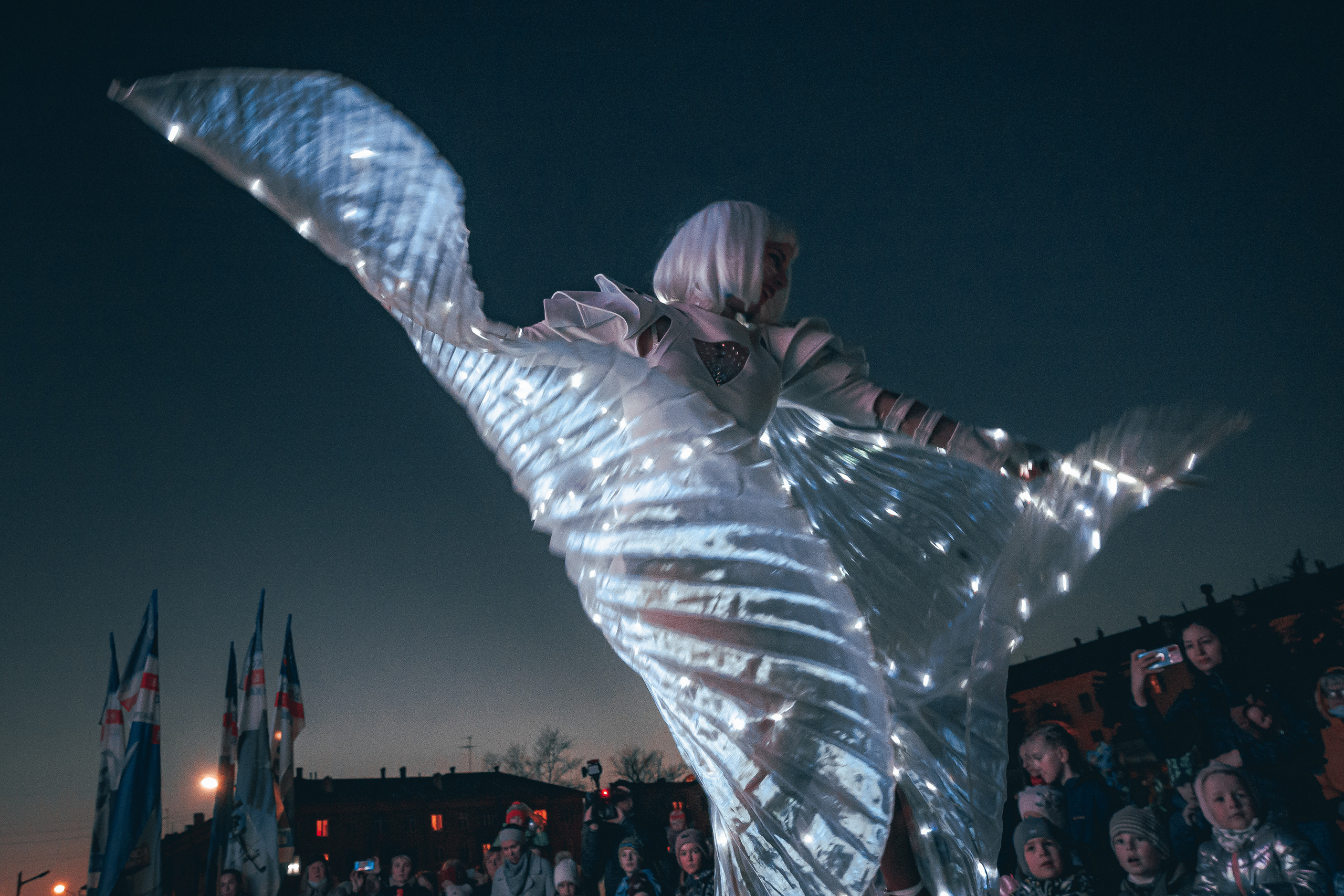 Шоу-Проект «Lando's Band» (Фаер Шоу Москва). Фотограф-анималист в Москве Юлия Лайхо