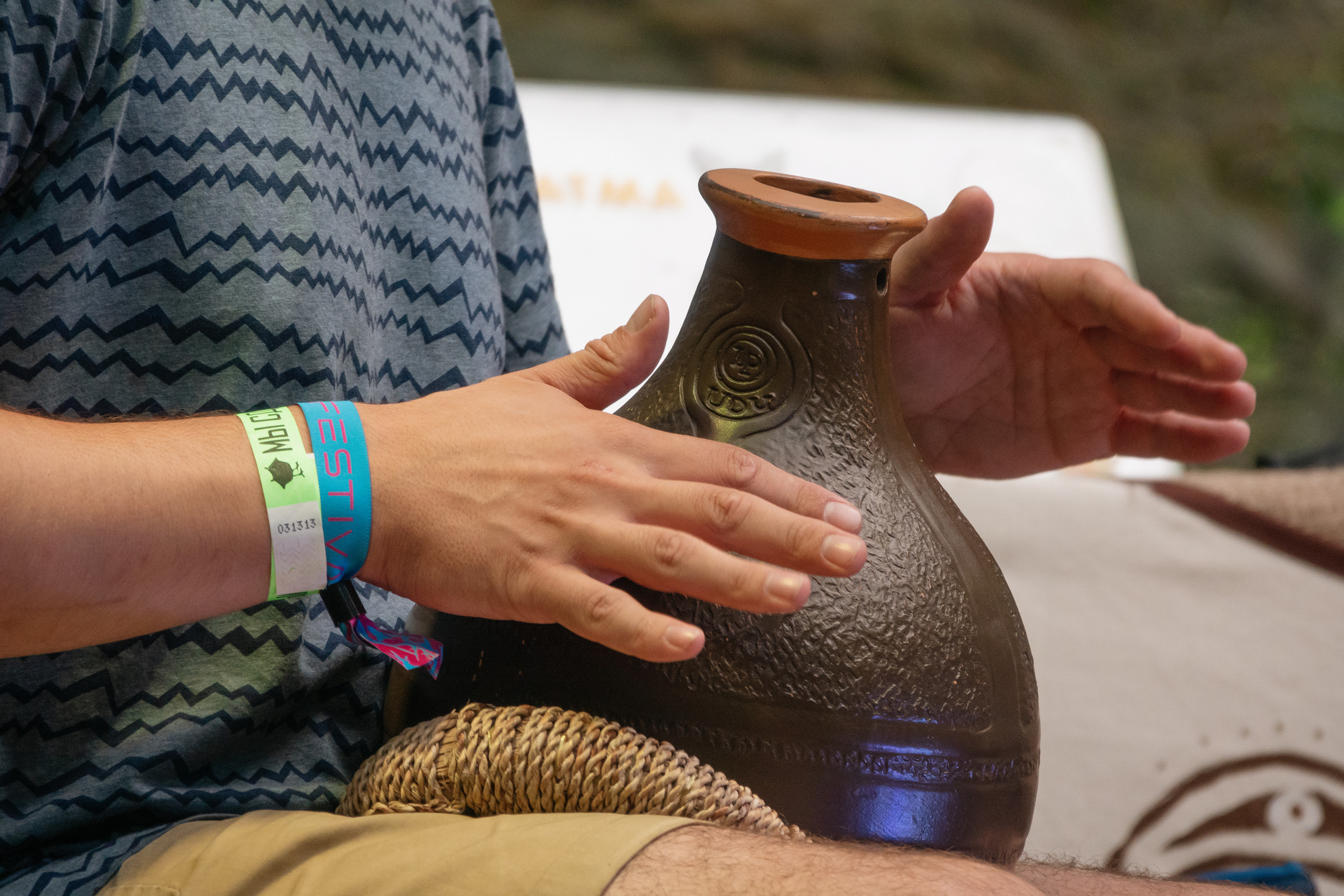 Выступление Forest Jam Project. Фестиваль Сказка 2021. Фотограф-анималист в Москве Юлия Лайхо