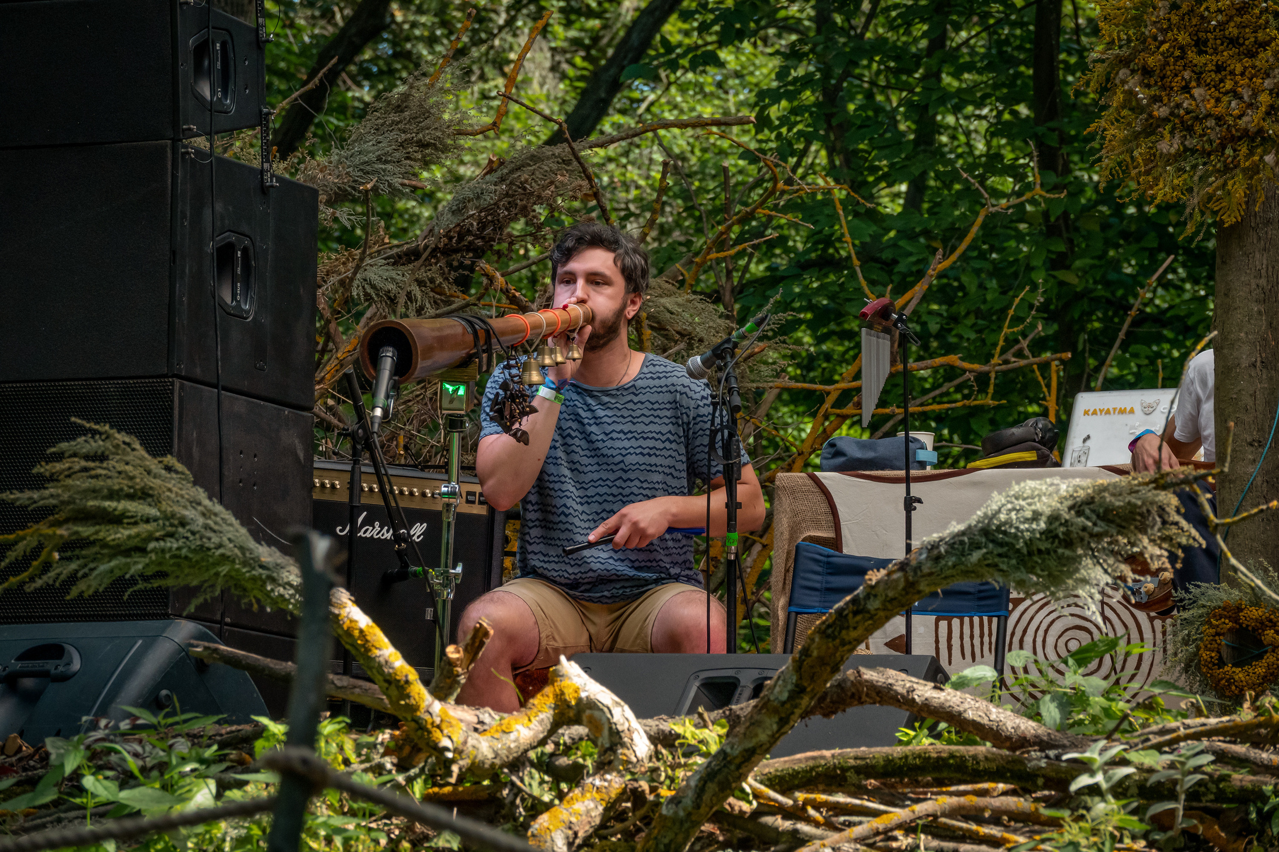 Выступление Forest Jam Project. Фестиваль Сказка 2021. Фотограф-анималист в Москве Юлия Лайхо