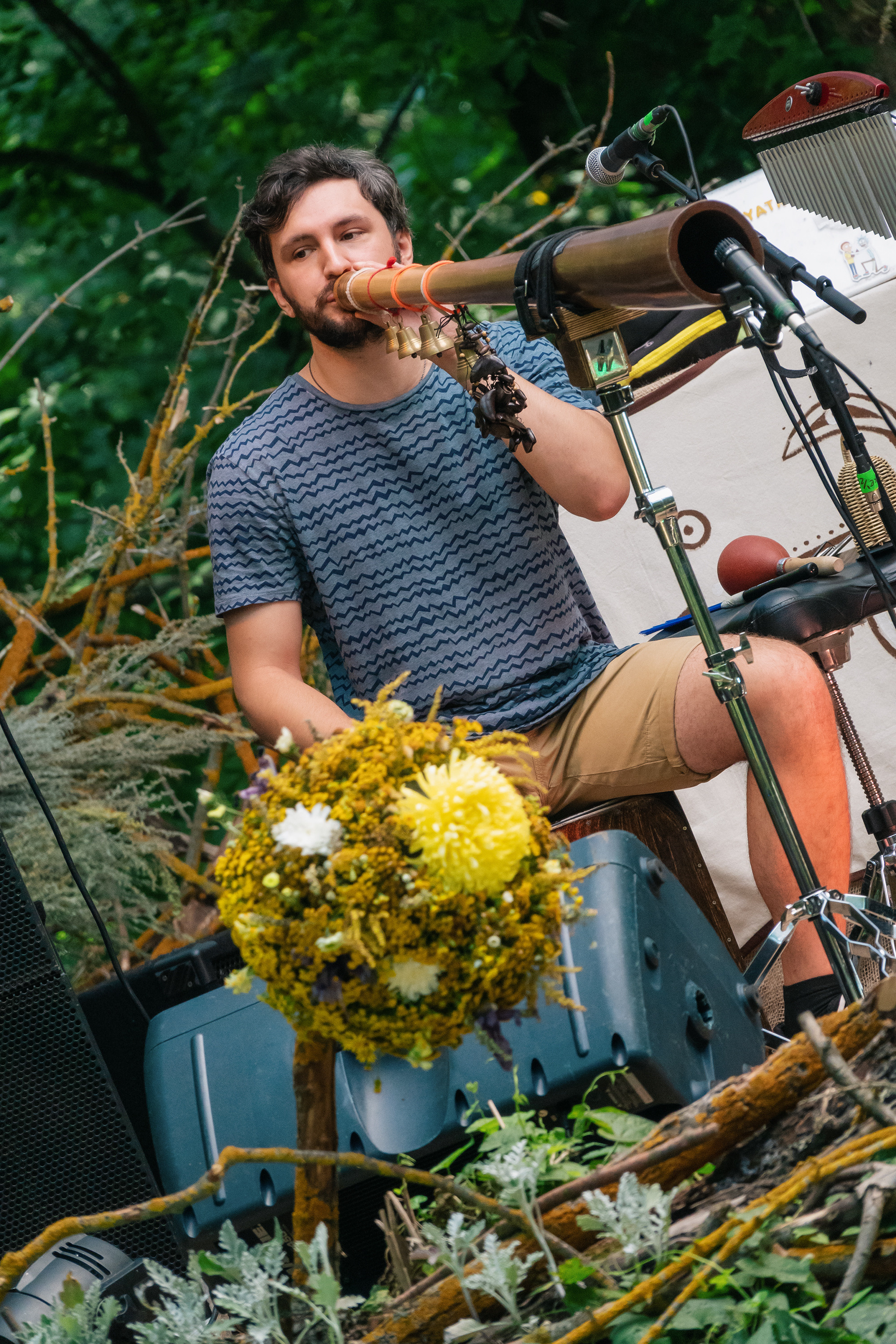 Выступление Forest Jam Project. Фестиваль Сказка 2021. Фотограф-анималист в Москве Юлия Лайхо