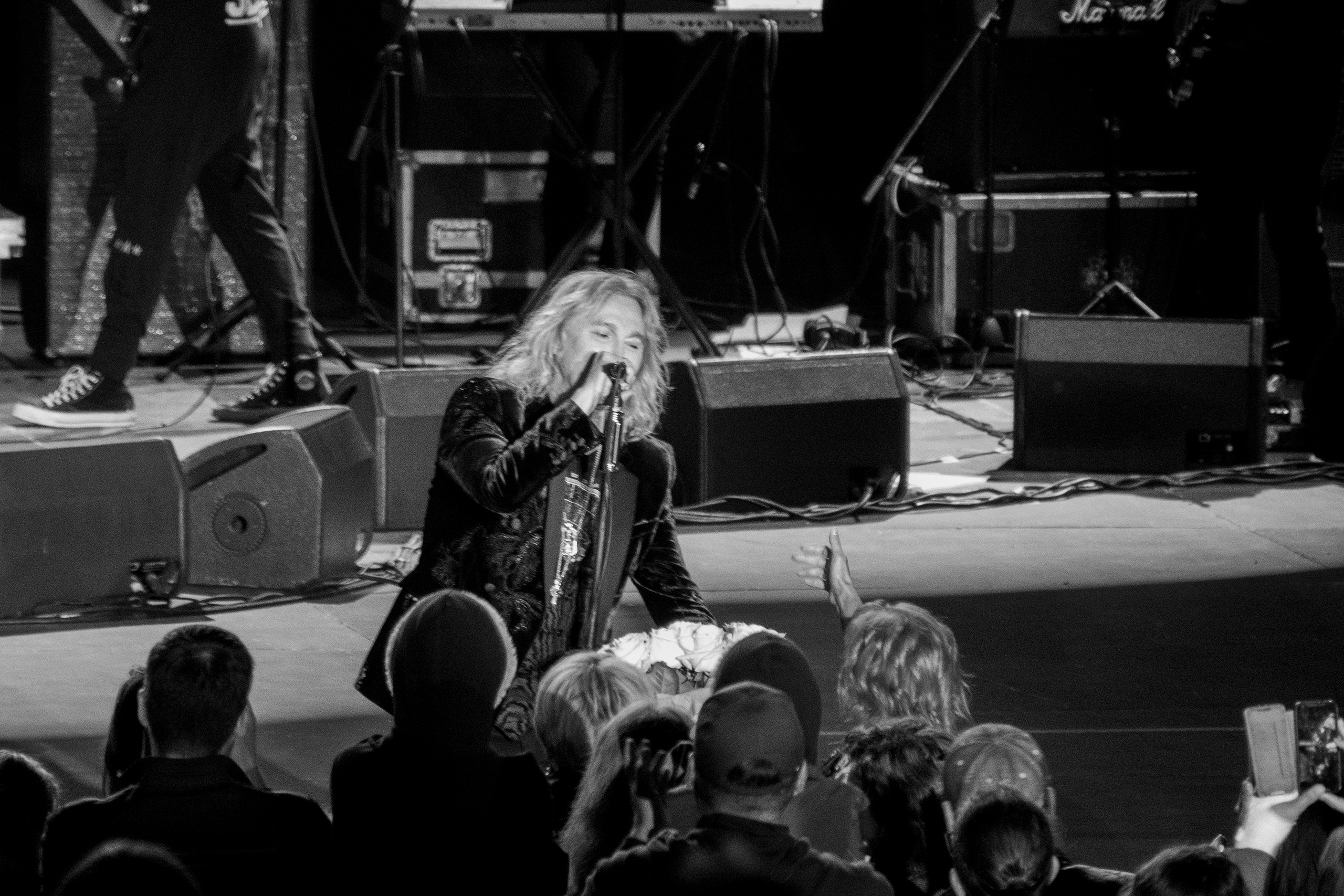 Александр Иванов и группа Рондо в Зеленом театре ВДНХ. Фотограф-анималист в Москве Юлия Лайхо