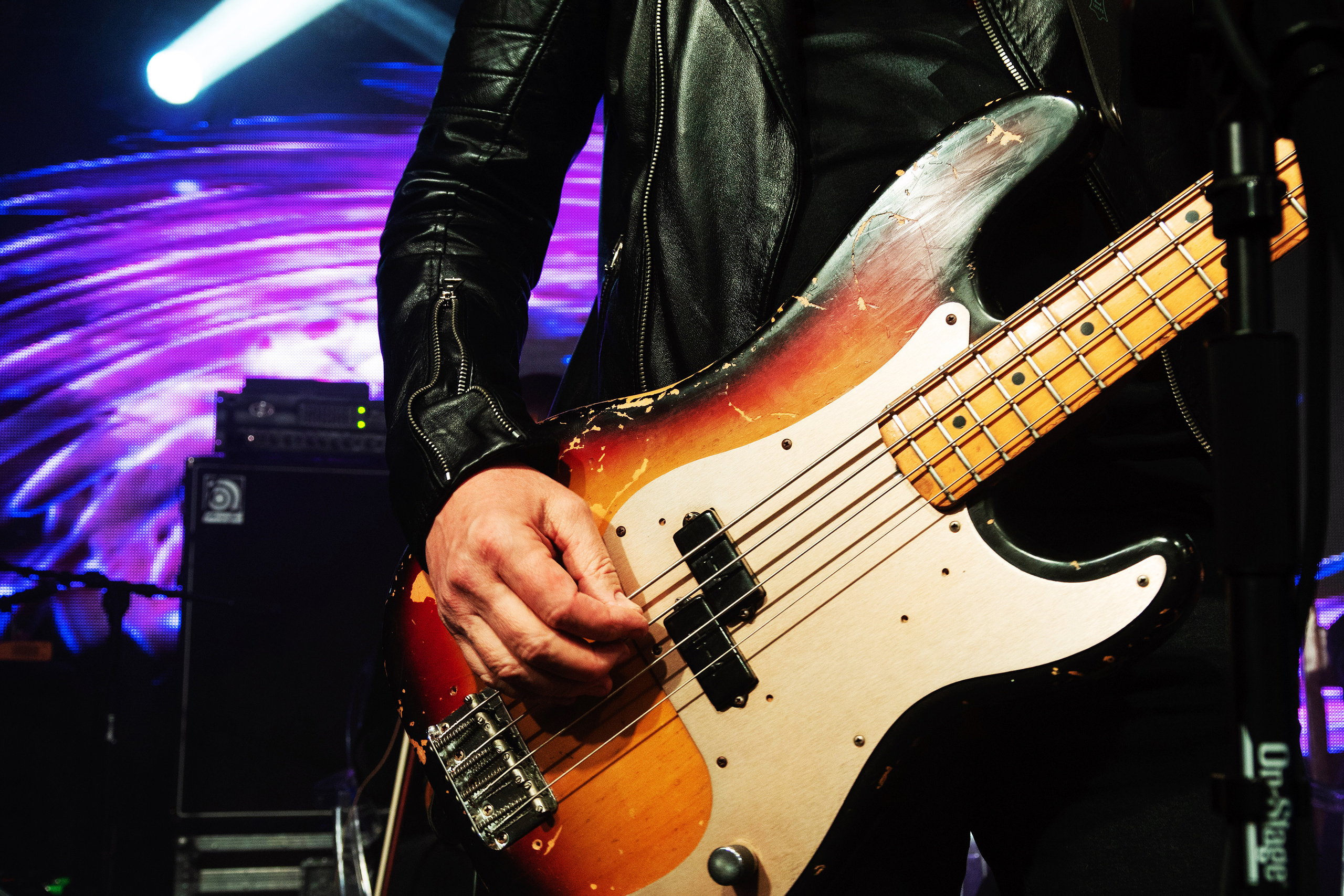 Игорь Куприянов. Юбилейный концерт 6:0. Фотограф-анималист в Москве Юлия Лайхо