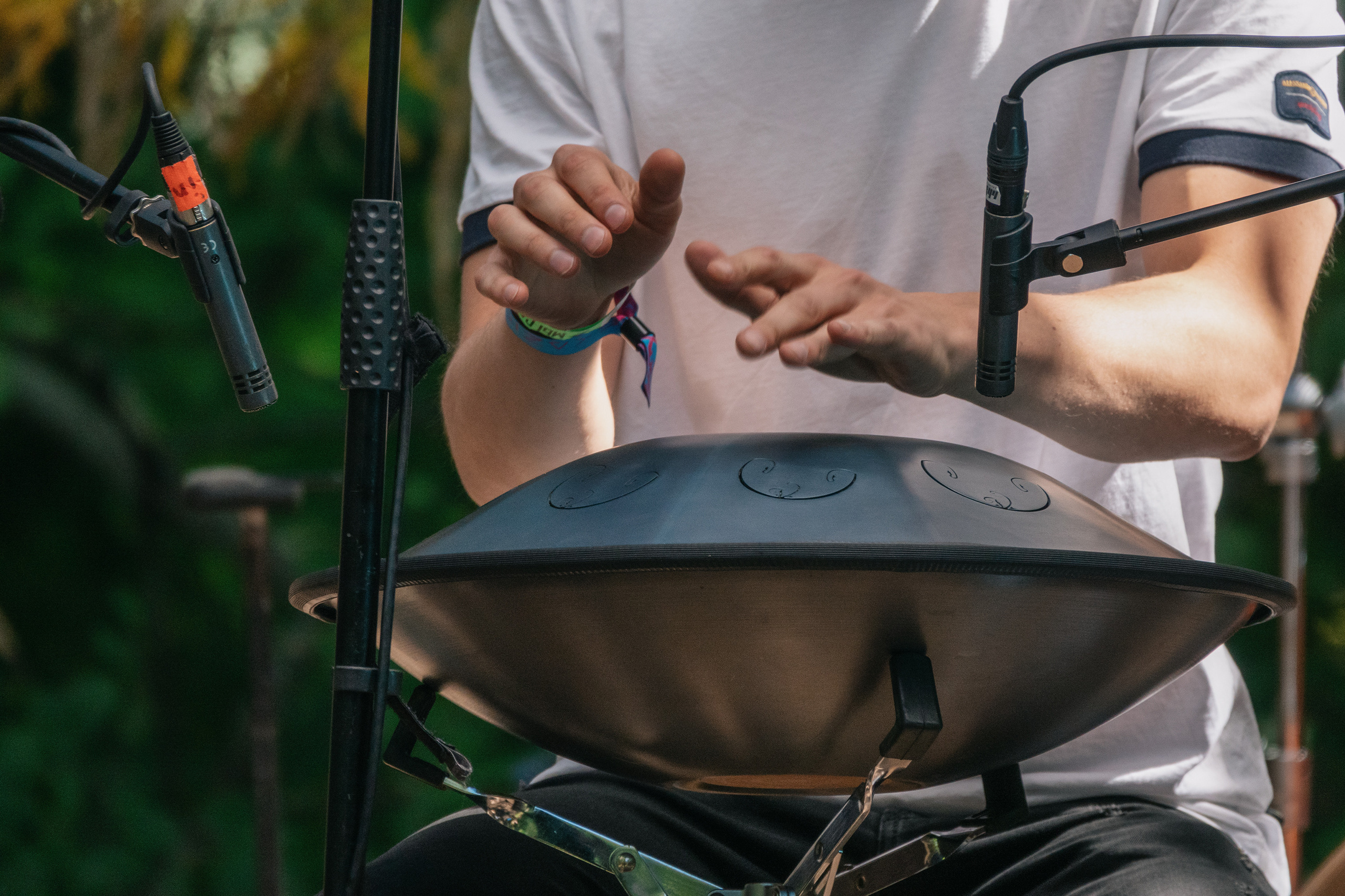 Выступление Forest Jam Project. Фестиваль Сказка 2021. Фотограф-анималист в Москве Юлия Лайхо