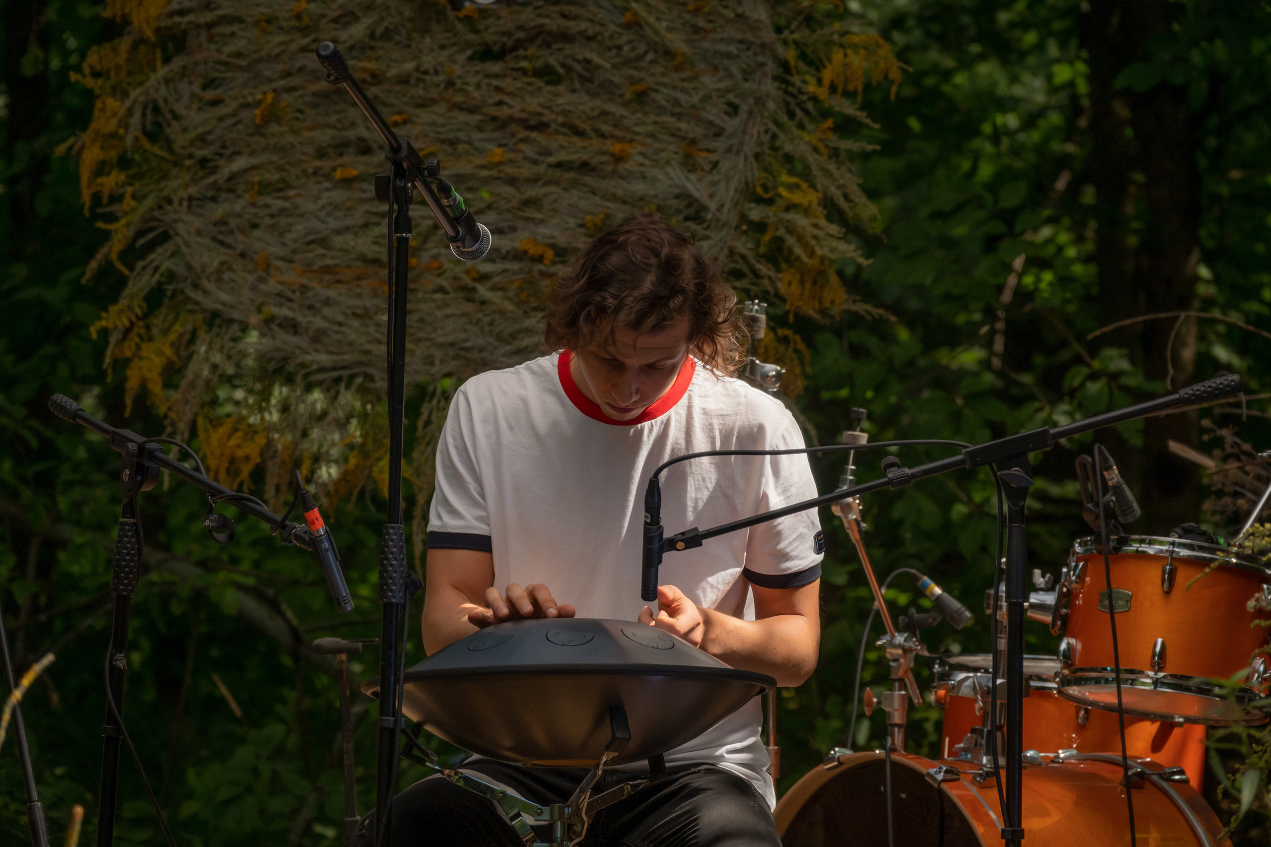 Выступление Forest Jam Project. Фестиваль Сказка 2021. Фотограф-анималист в Москве Юлия Лайхо