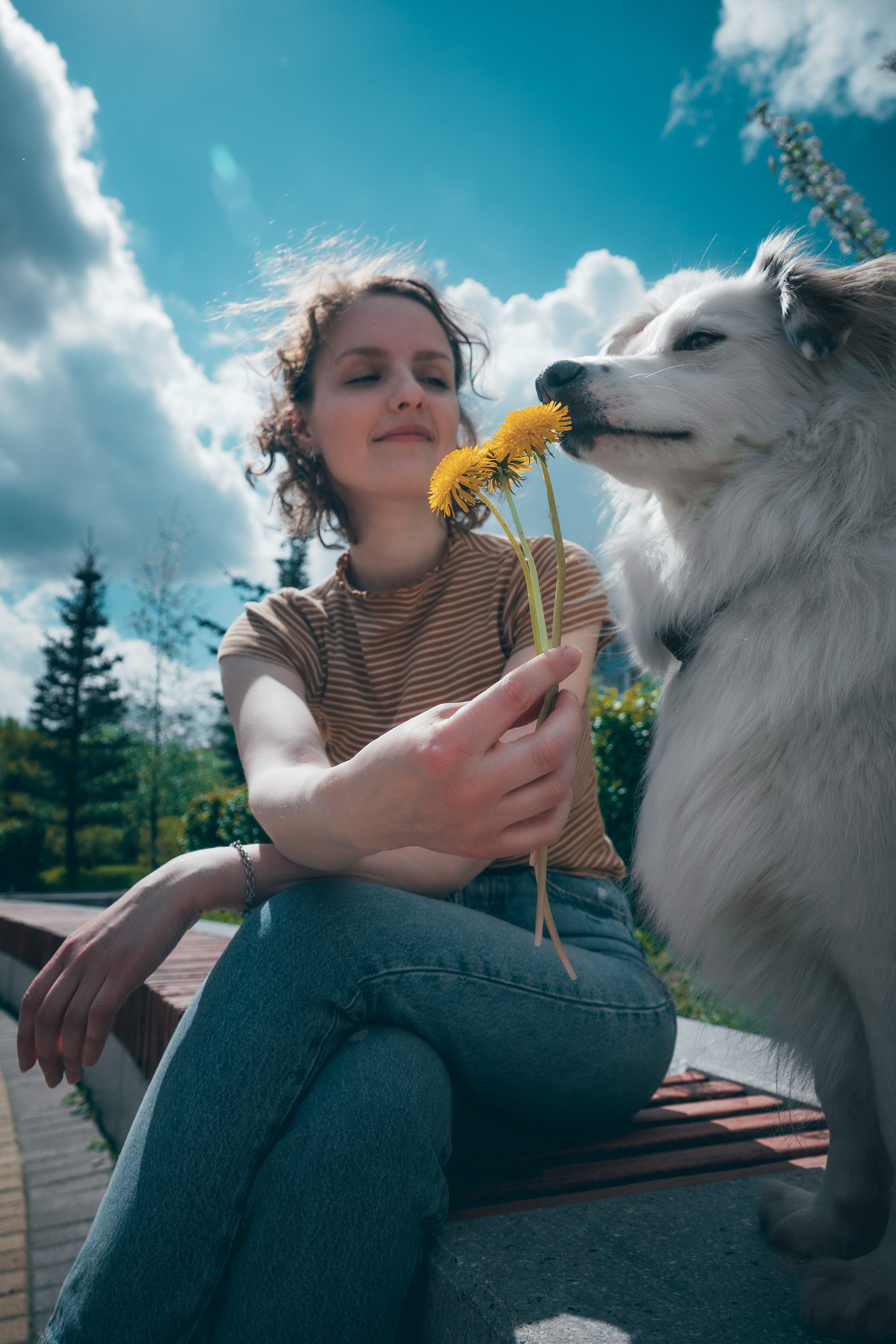Фотоссесия красавчика пса Даная и его человека Оли. Фотограф-анималист в Москве Юлия Лайхо